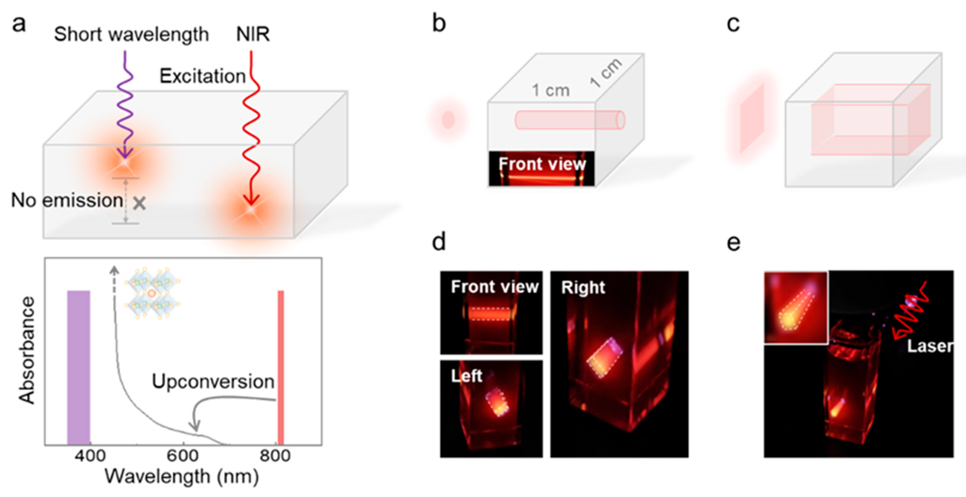 Molecules 30 02273 g004