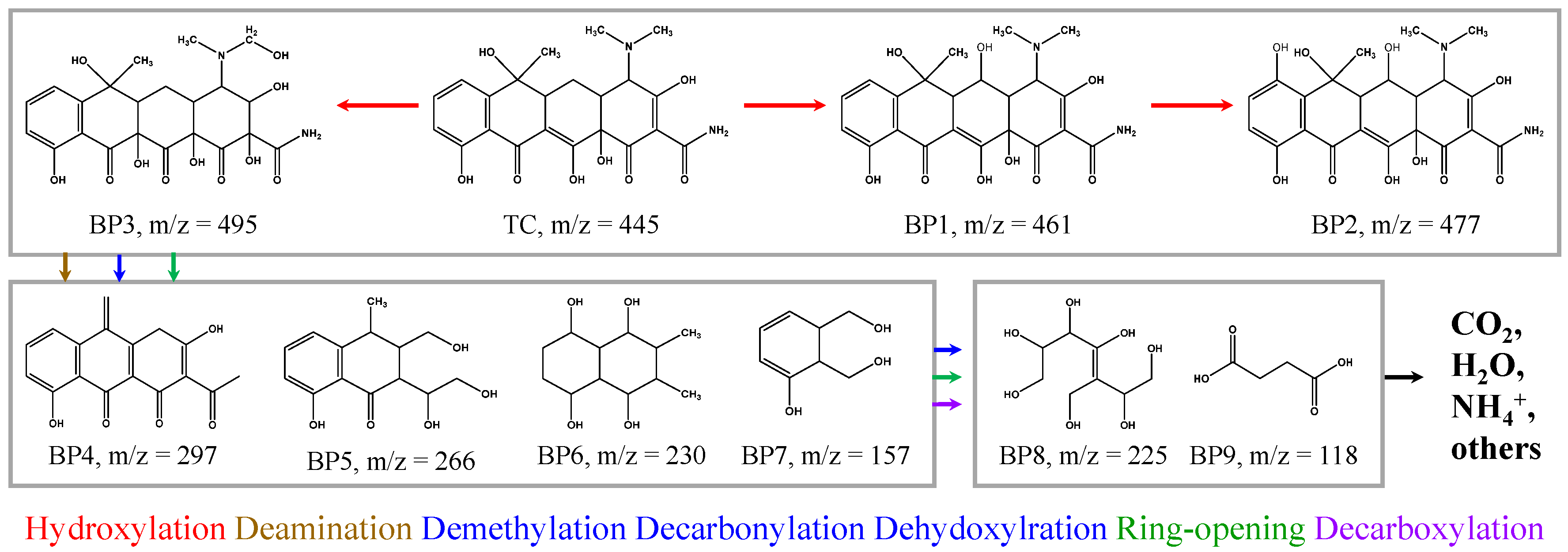 Molecules 30 02275 g007