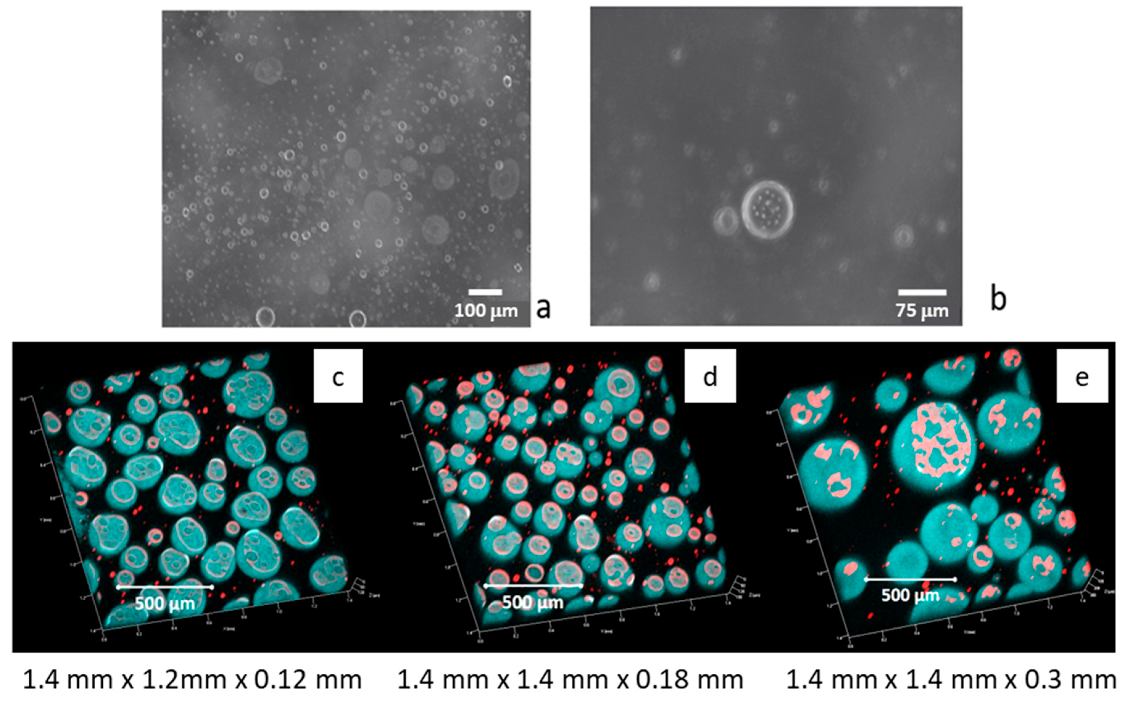Molecules 30 02281 g004