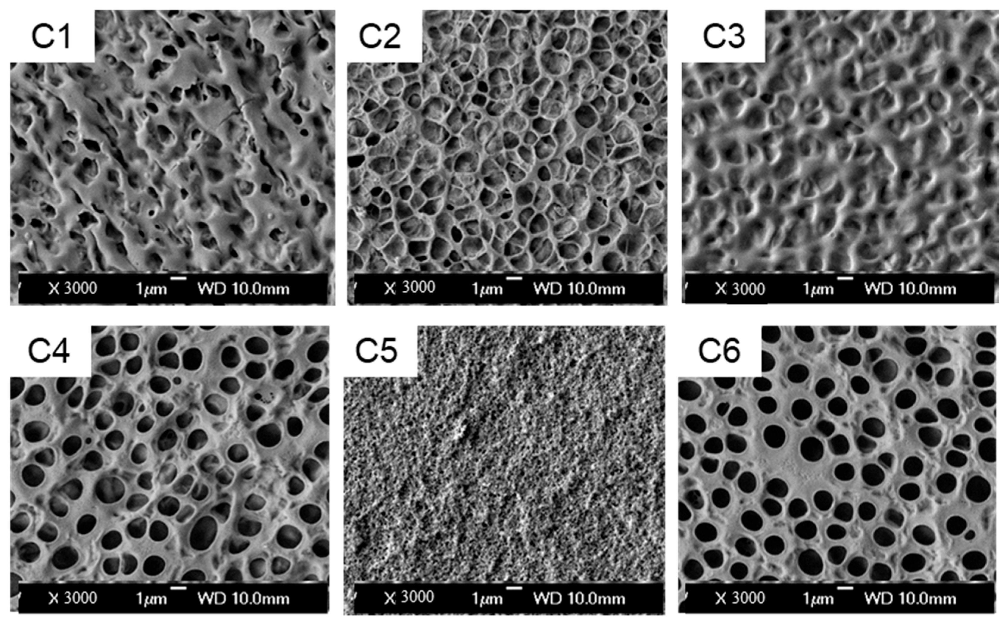 Molecules 30 02284 g002