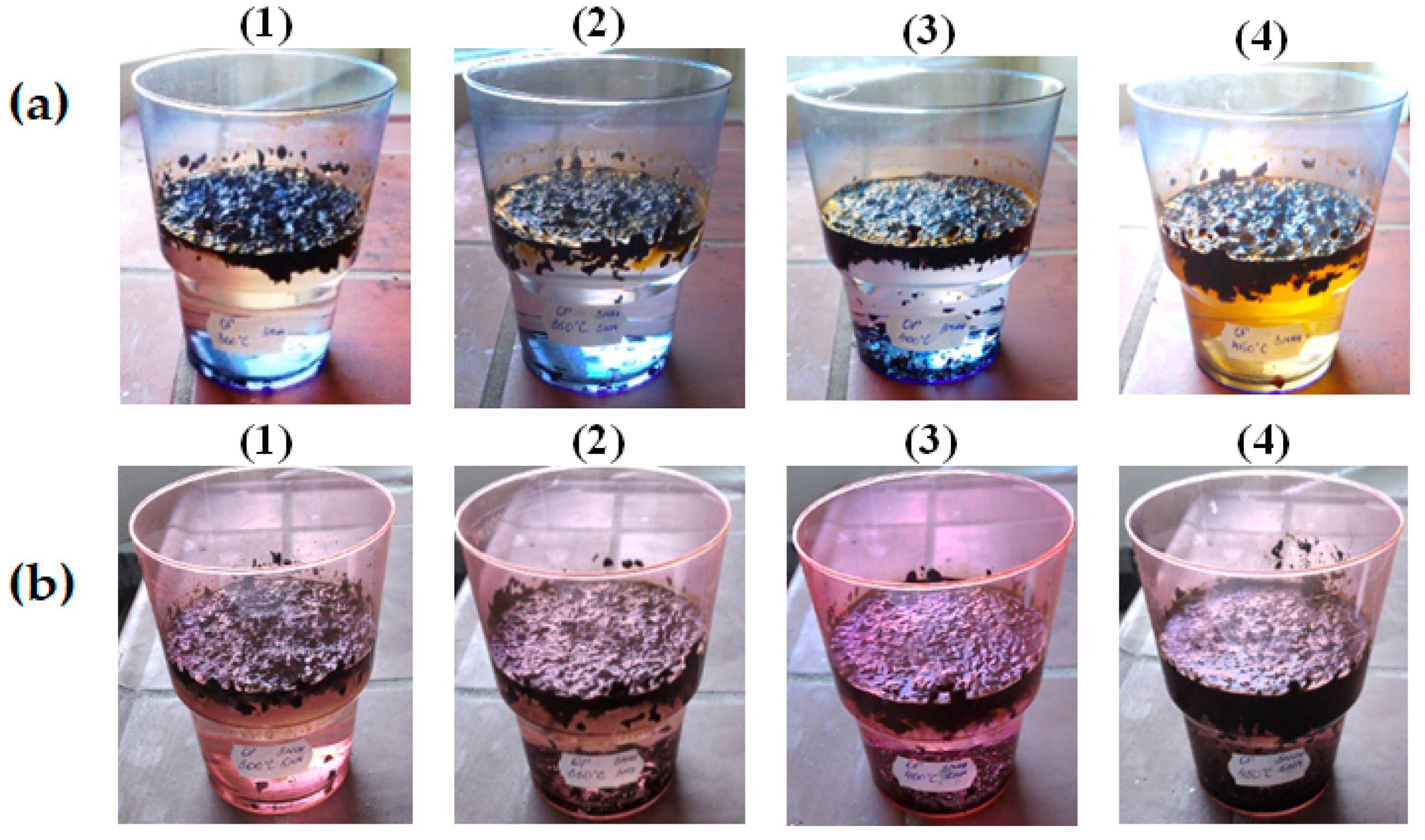 Molecules 30 02285 g006