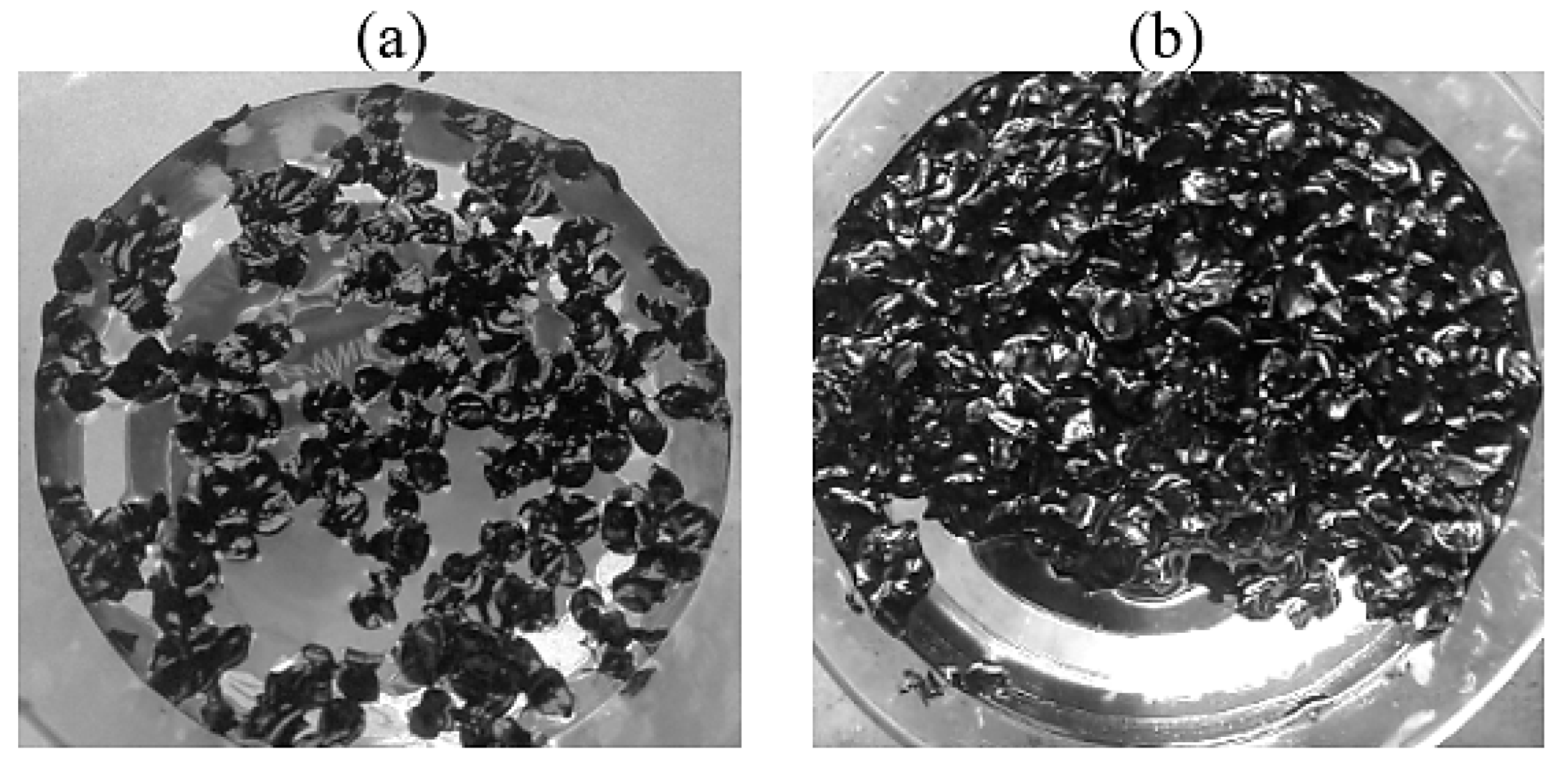 Molecules 30 02285 g012