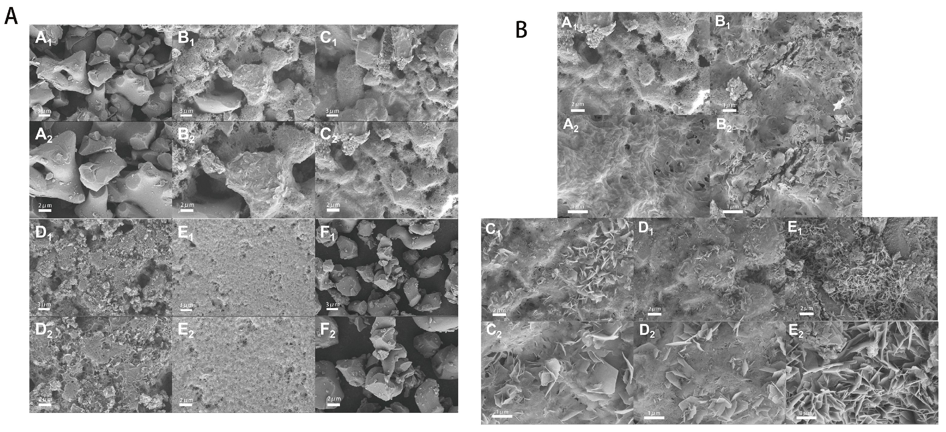 Molecules 30 02286 g002