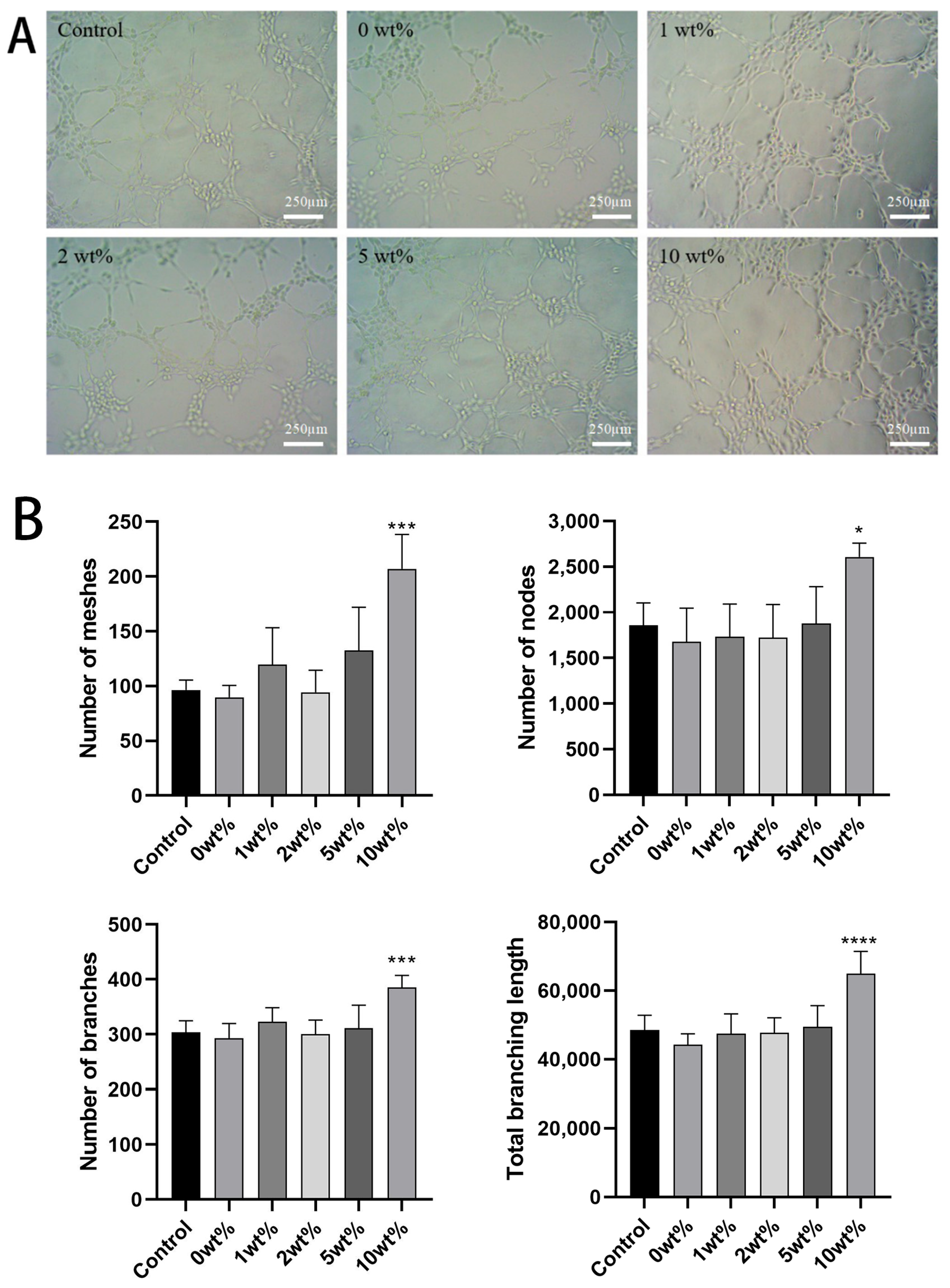 Molecules 30 02286 g008