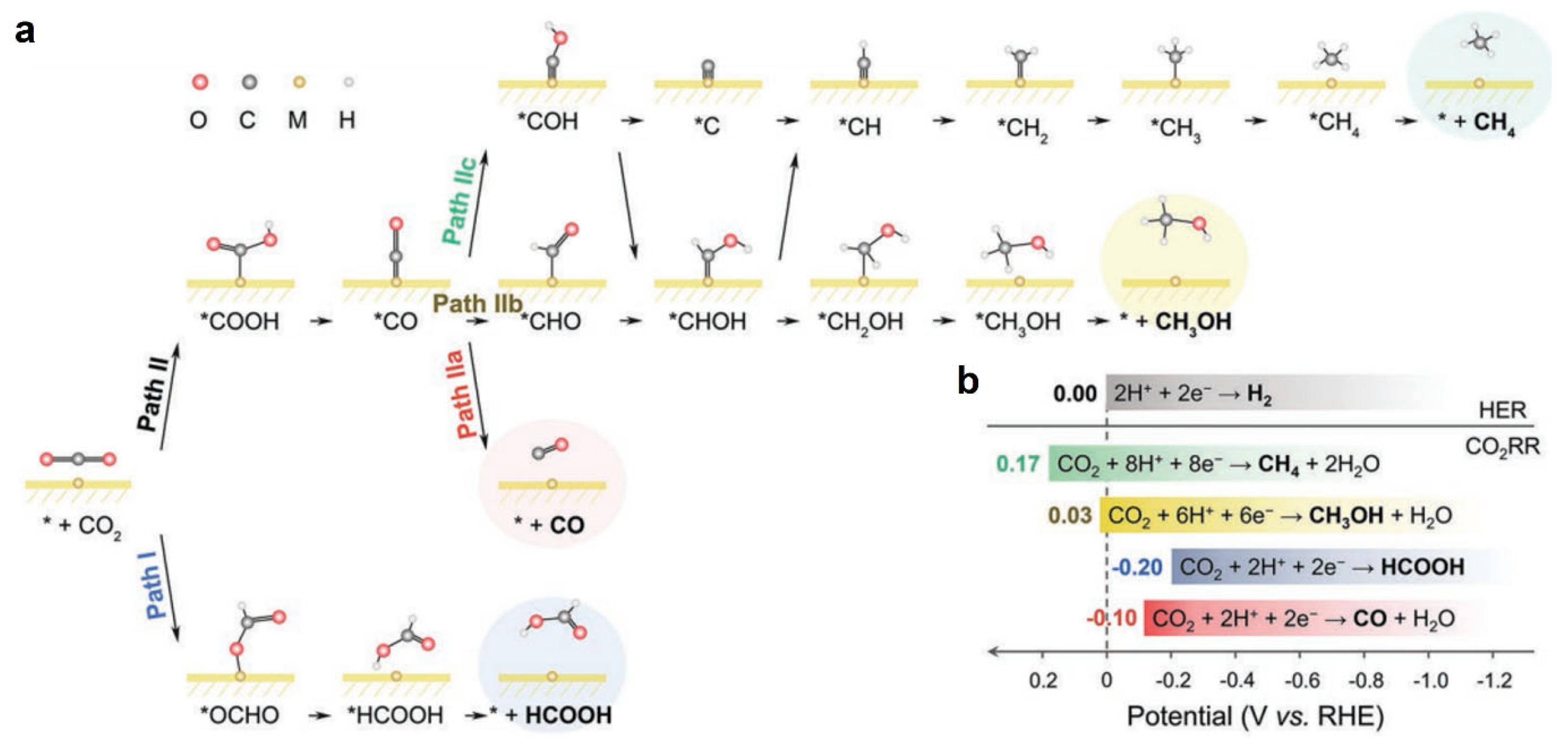 Molecules 30 02287 g002