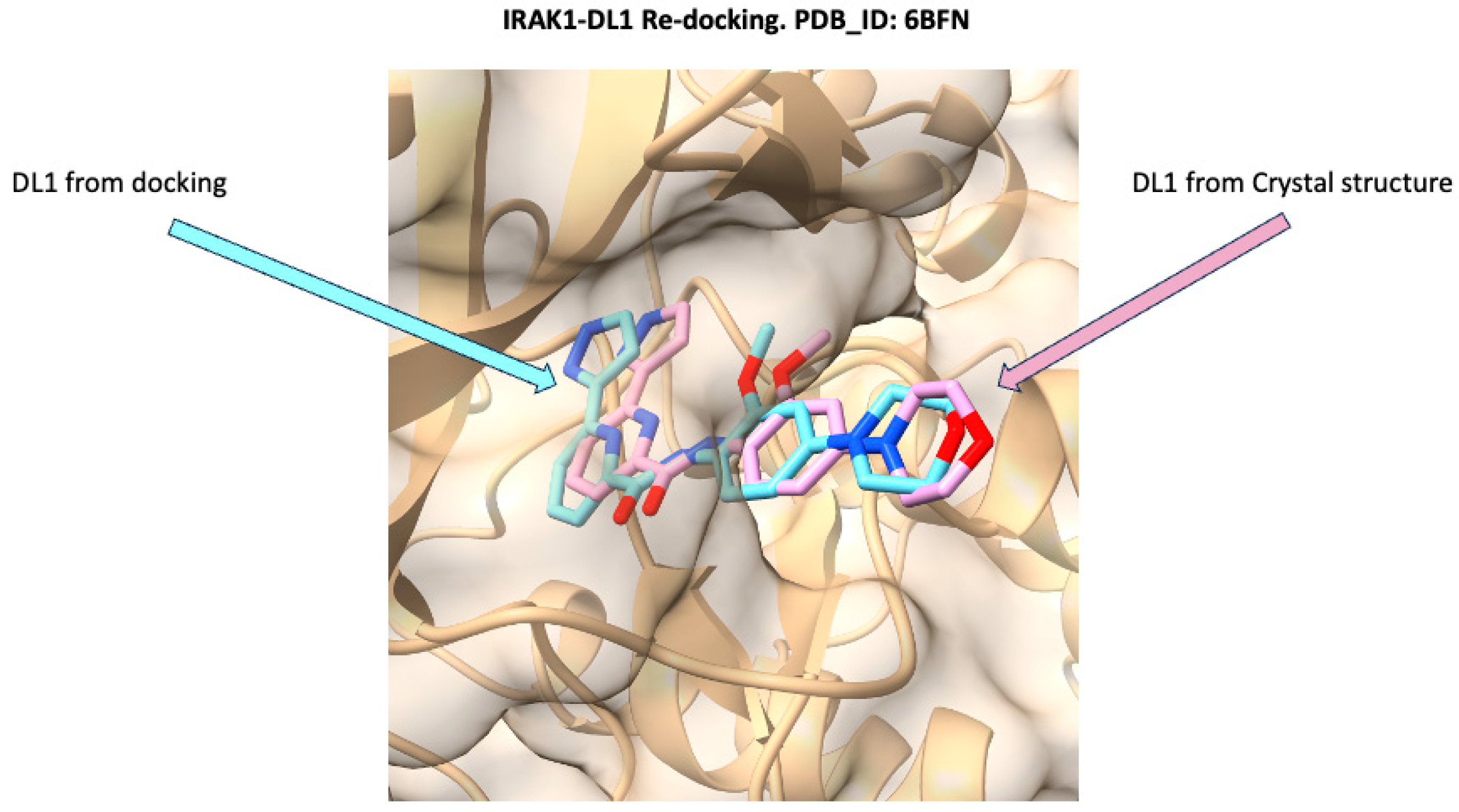 Molecules 30 02288 g002