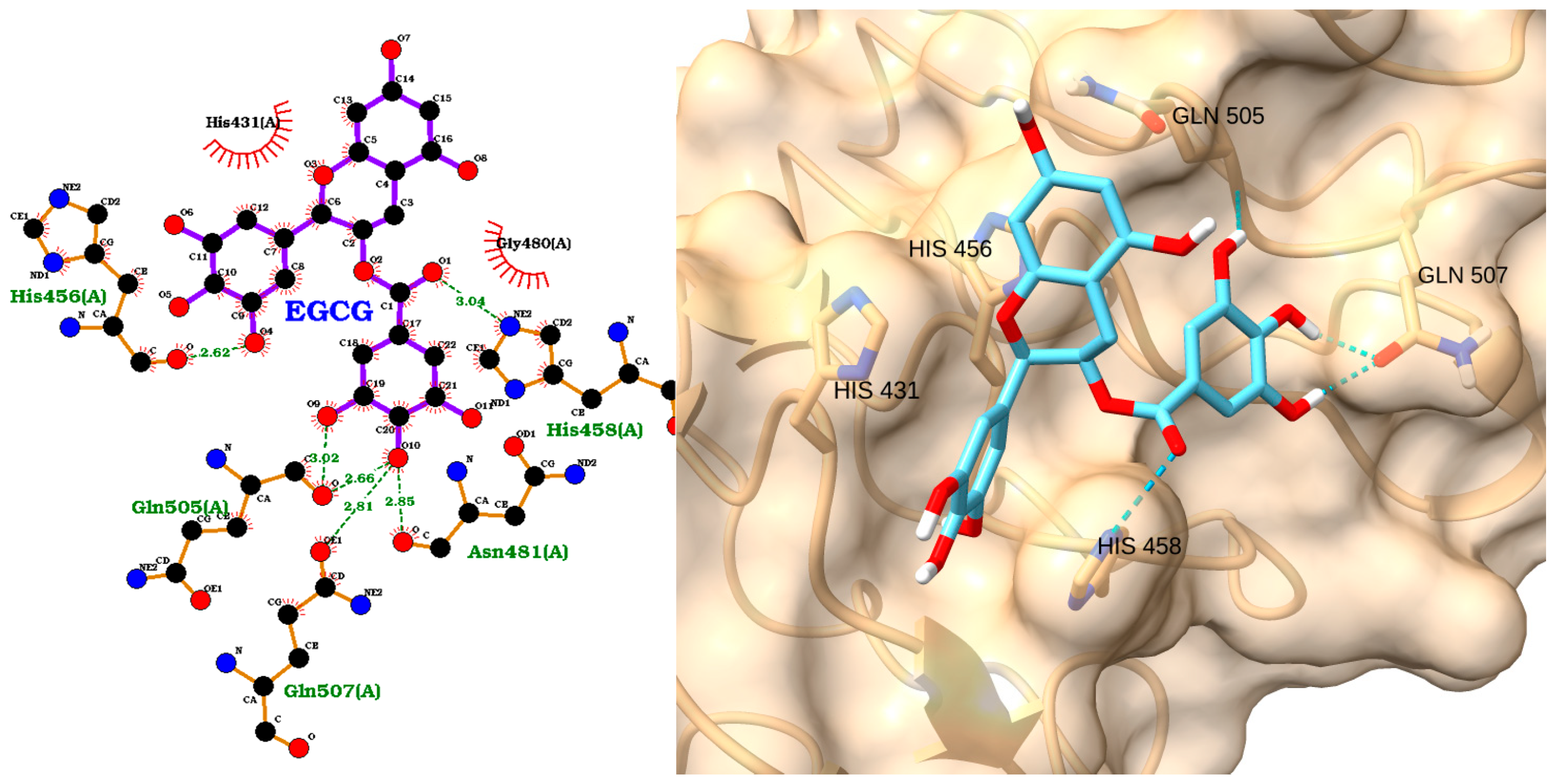 Molecules 30 02288 g004
