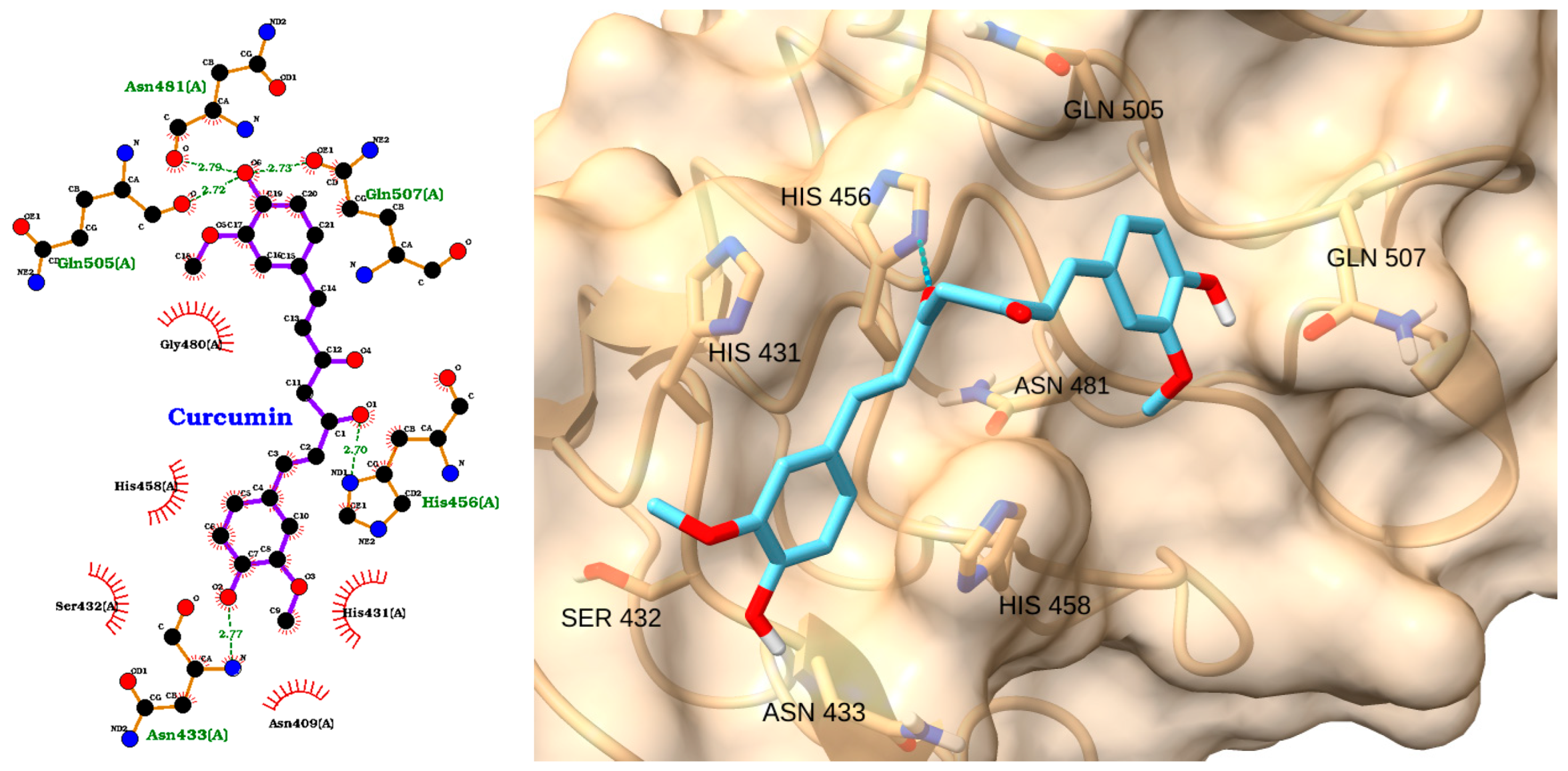 Molecules 30 02288 g006