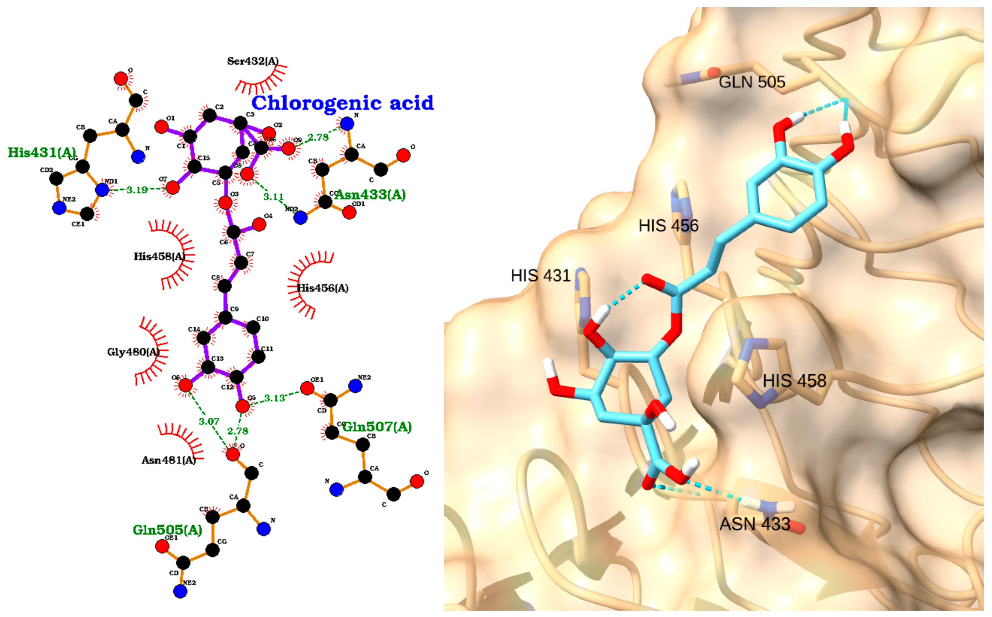 Molecules 30 02288 g007