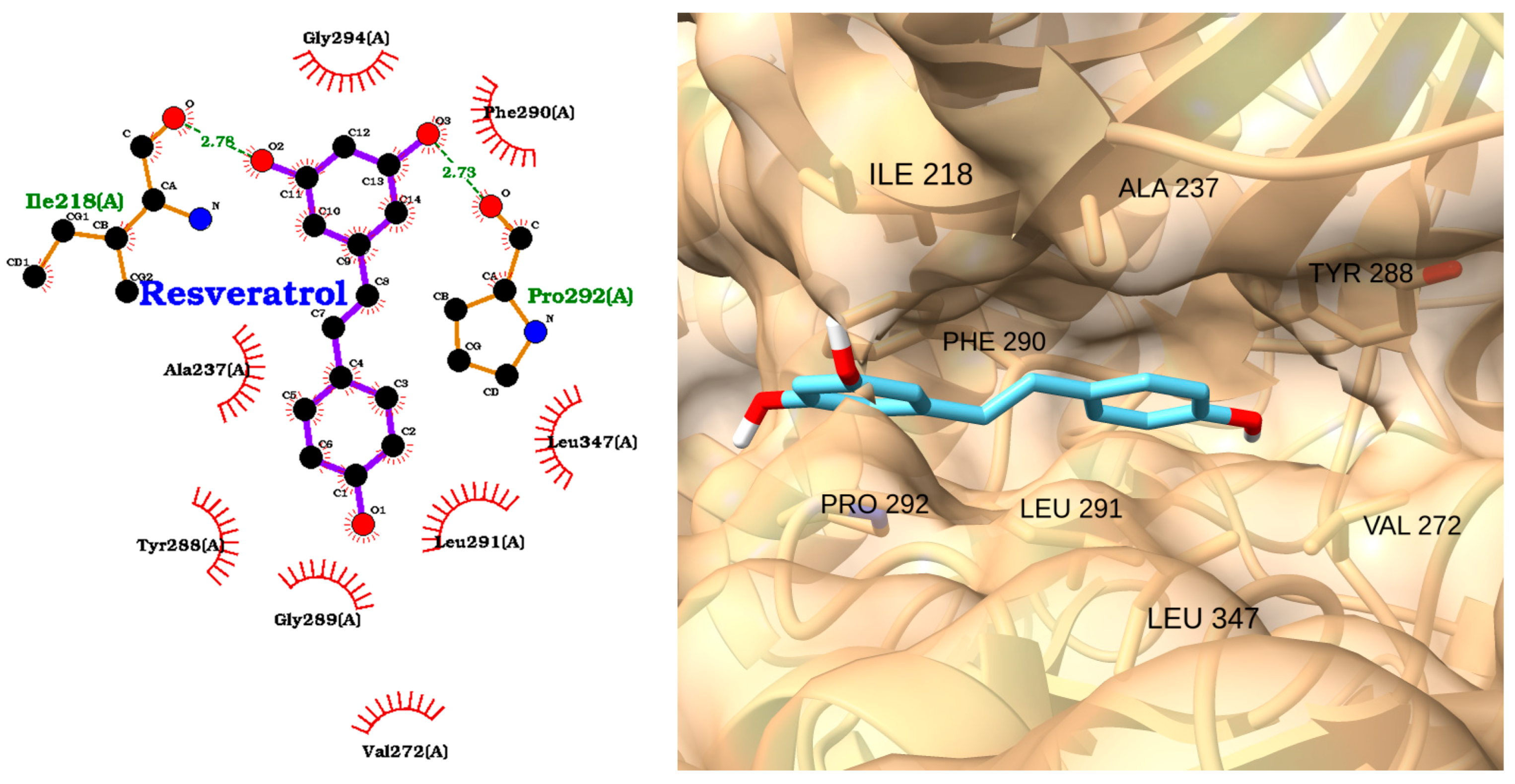 Molecules 30 02288 g010