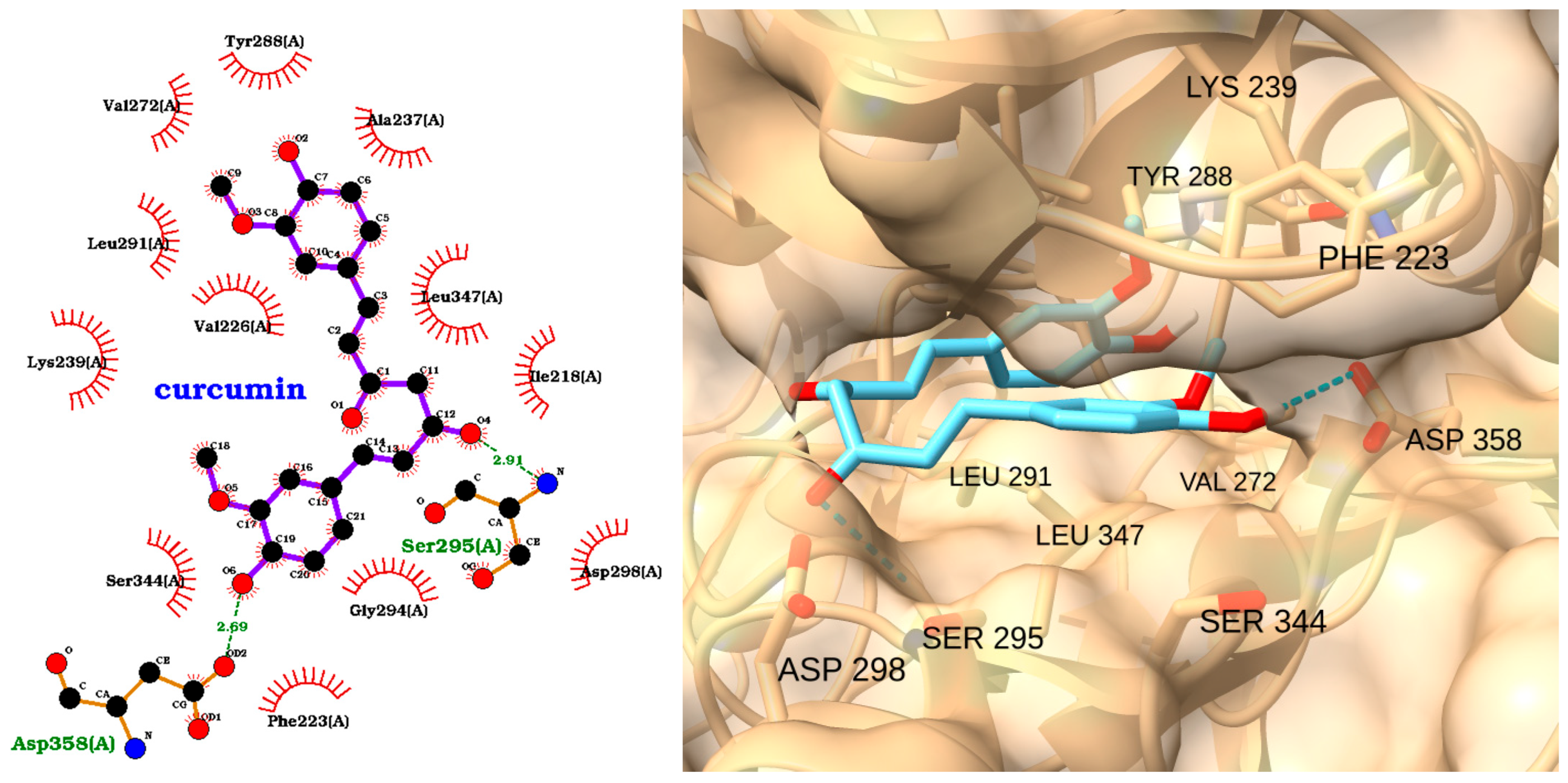 Molecules 30 02288 g011