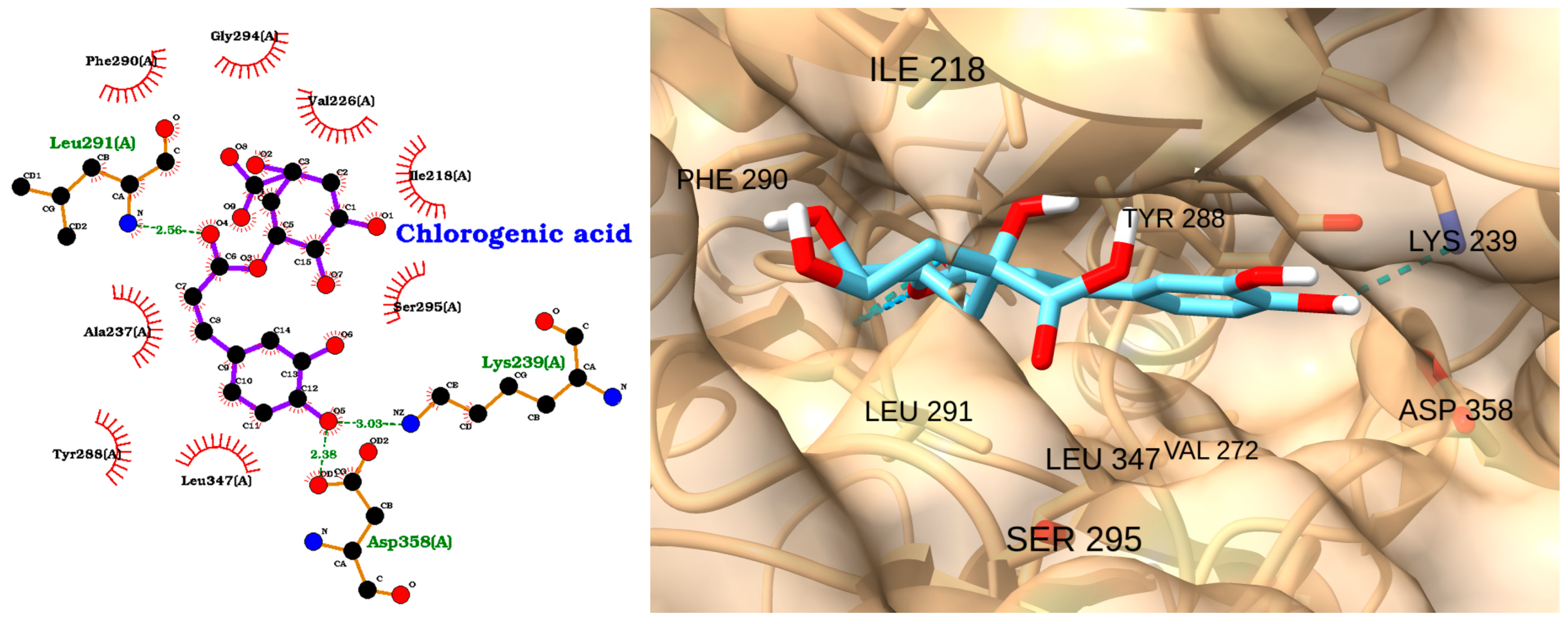 Molecules 30 02288 g012