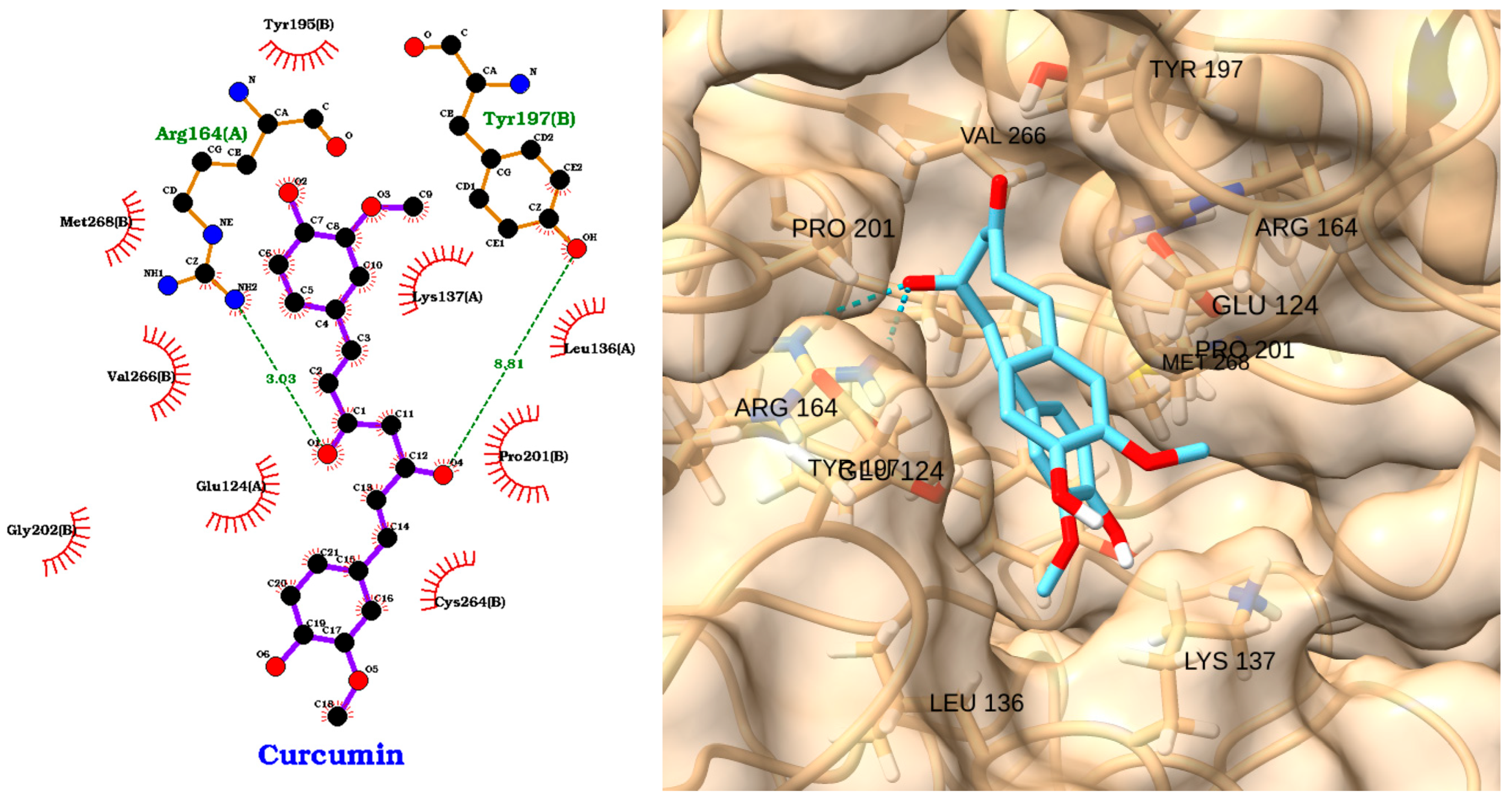 Molecules 30 02288 g016
