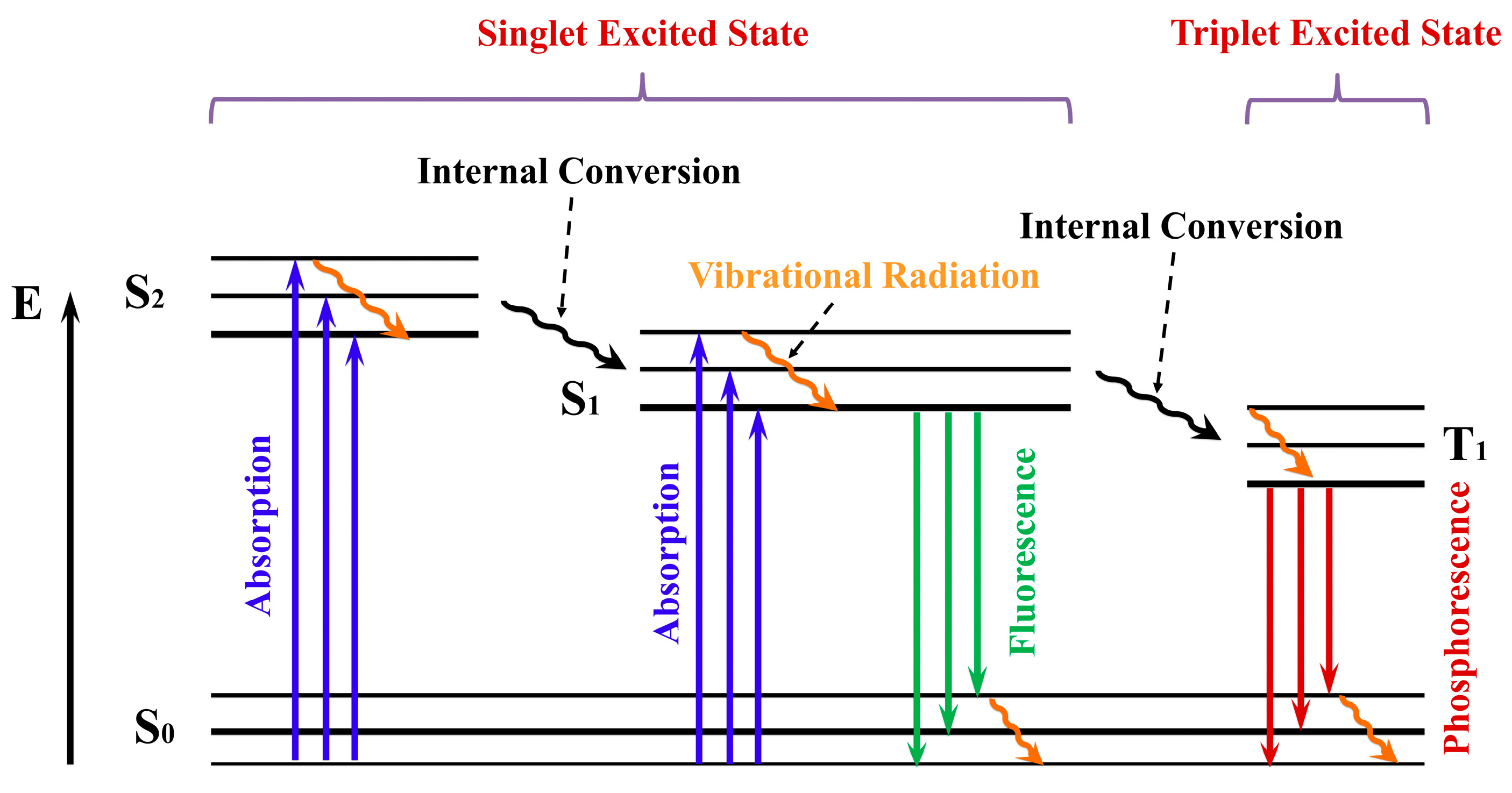Molecules 30 02290 g009