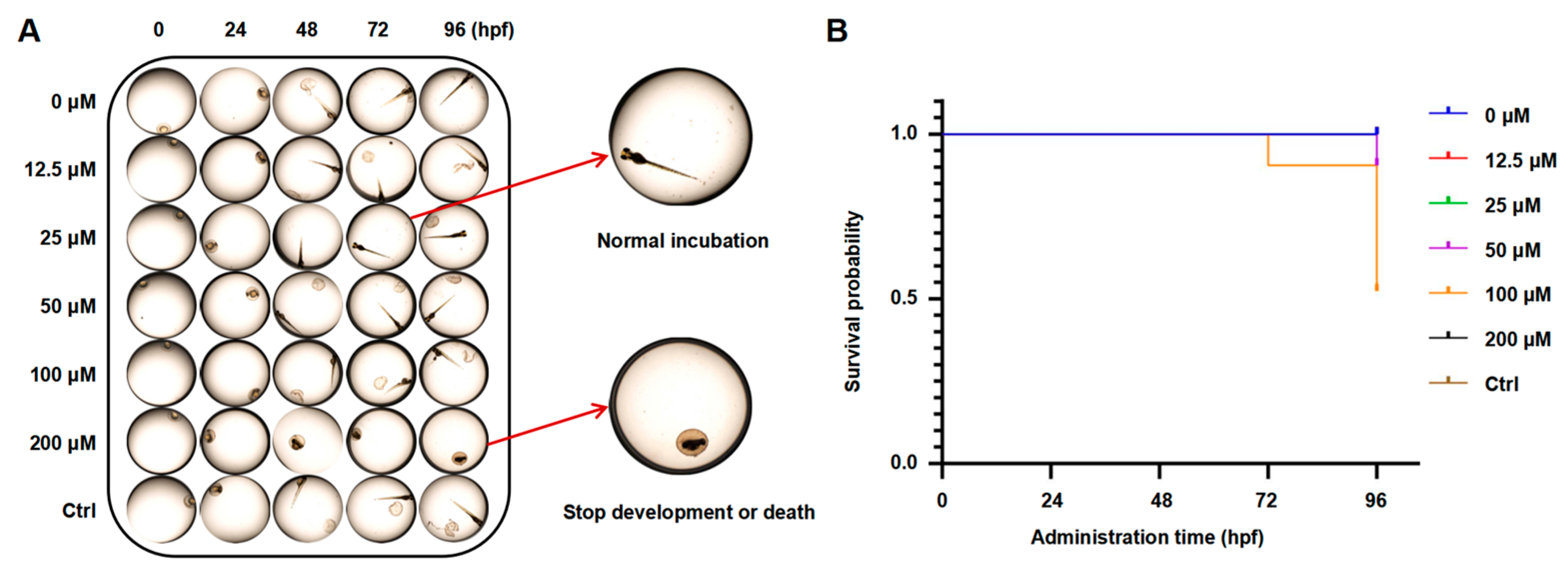 Molecules 30 02294 g007
