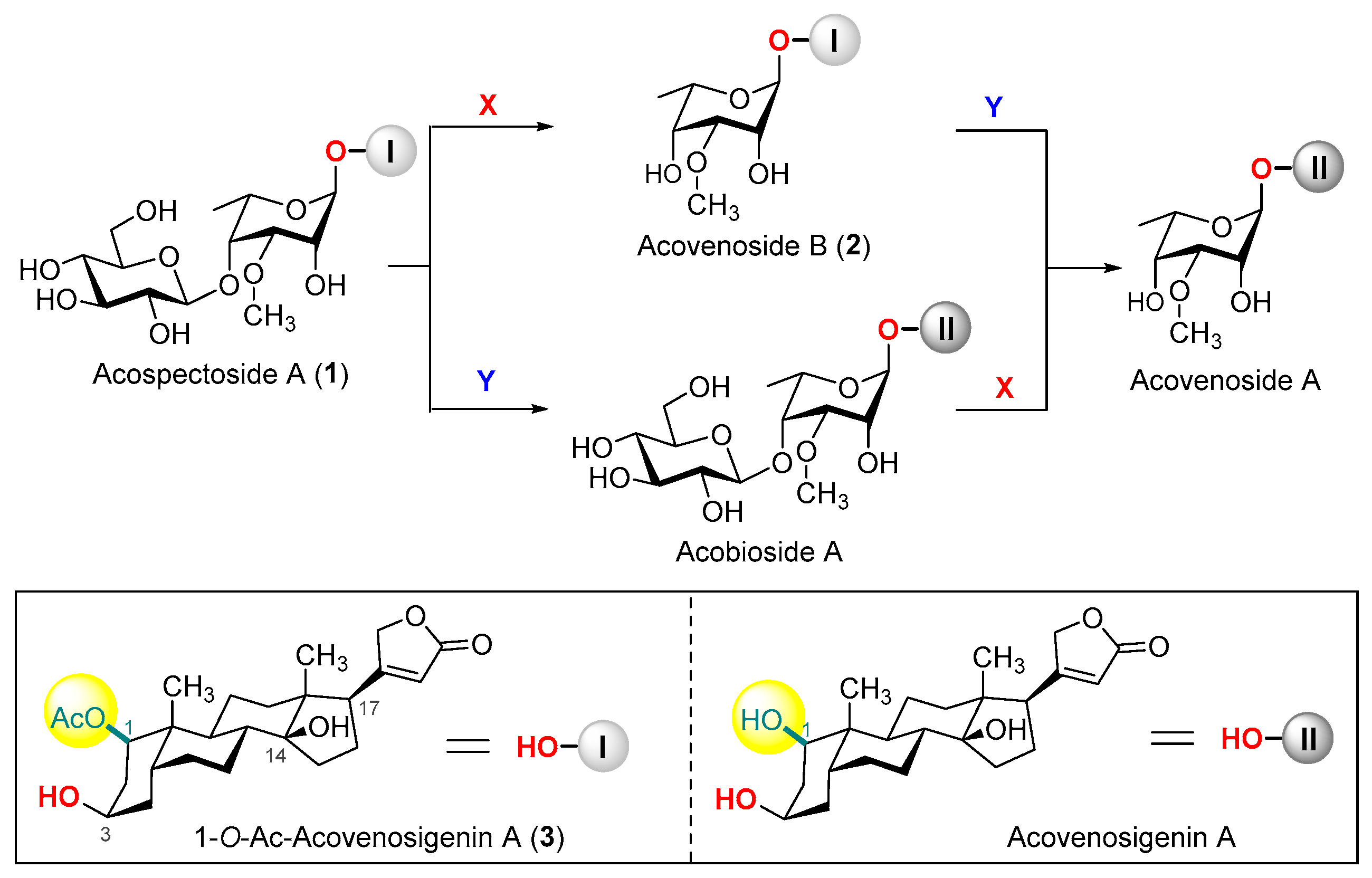 Molecules 30 02297 g001