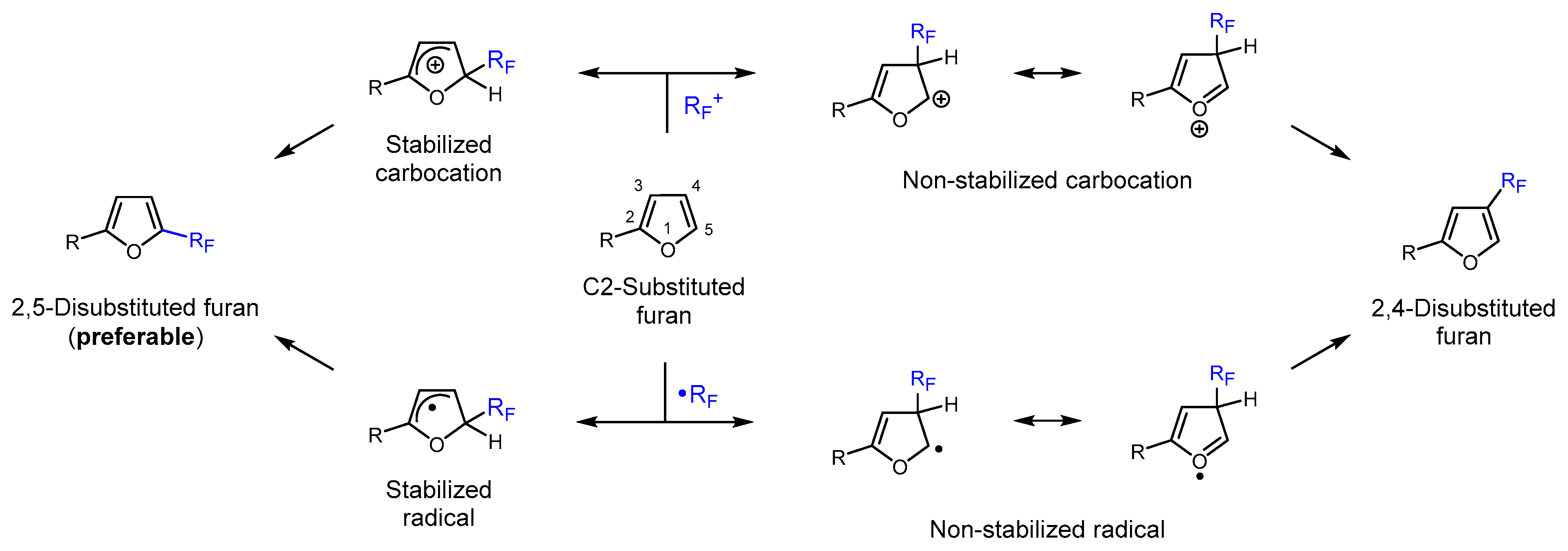 Molecules 30 02305 sch002