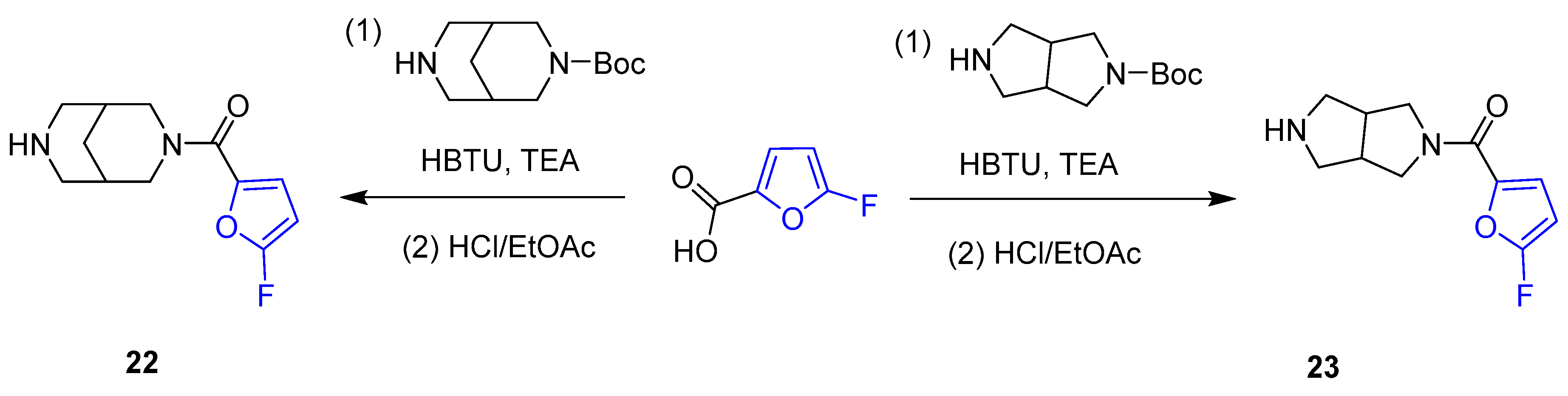 Molecules 30 02305 sch008