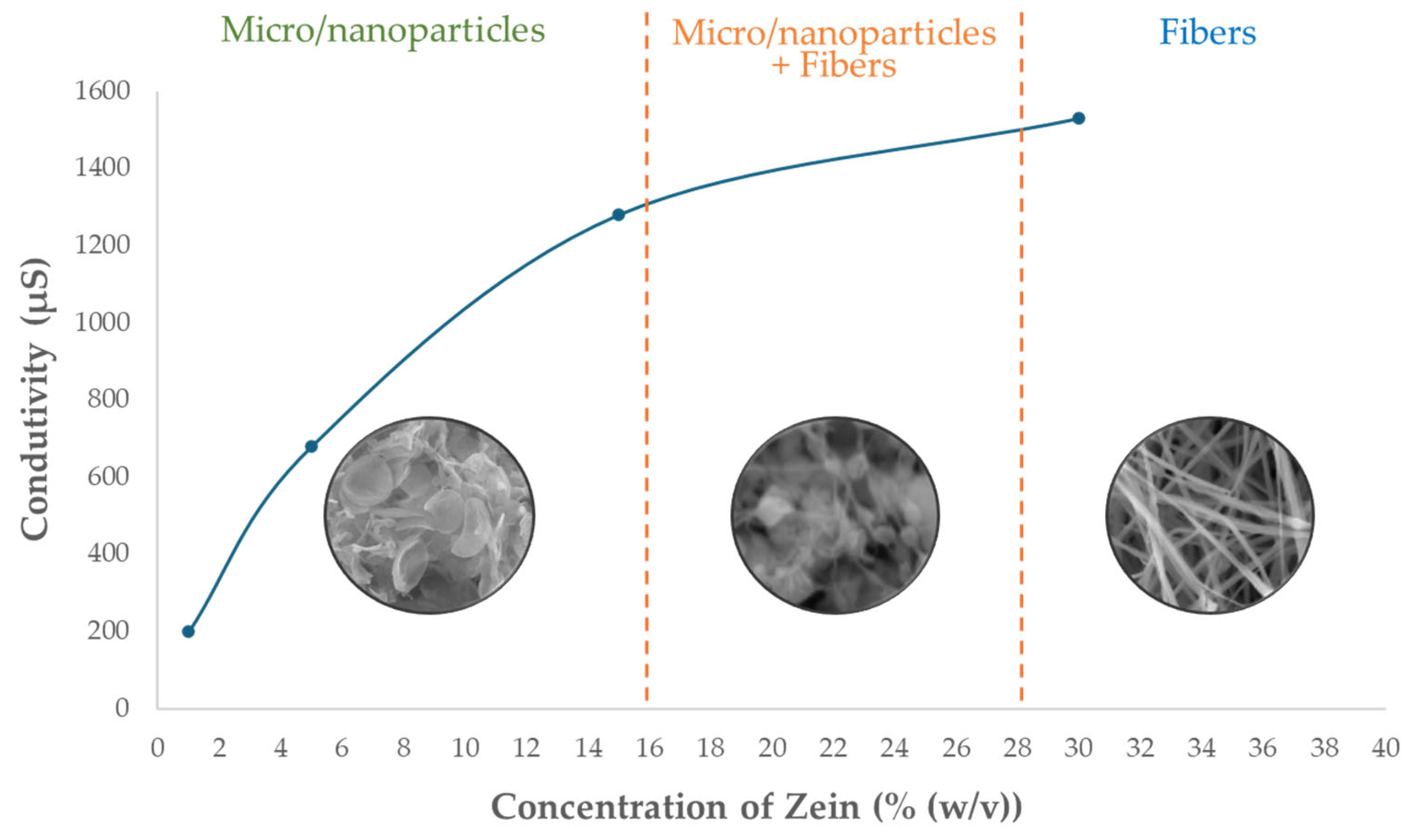 Molecules 30 02306 g001