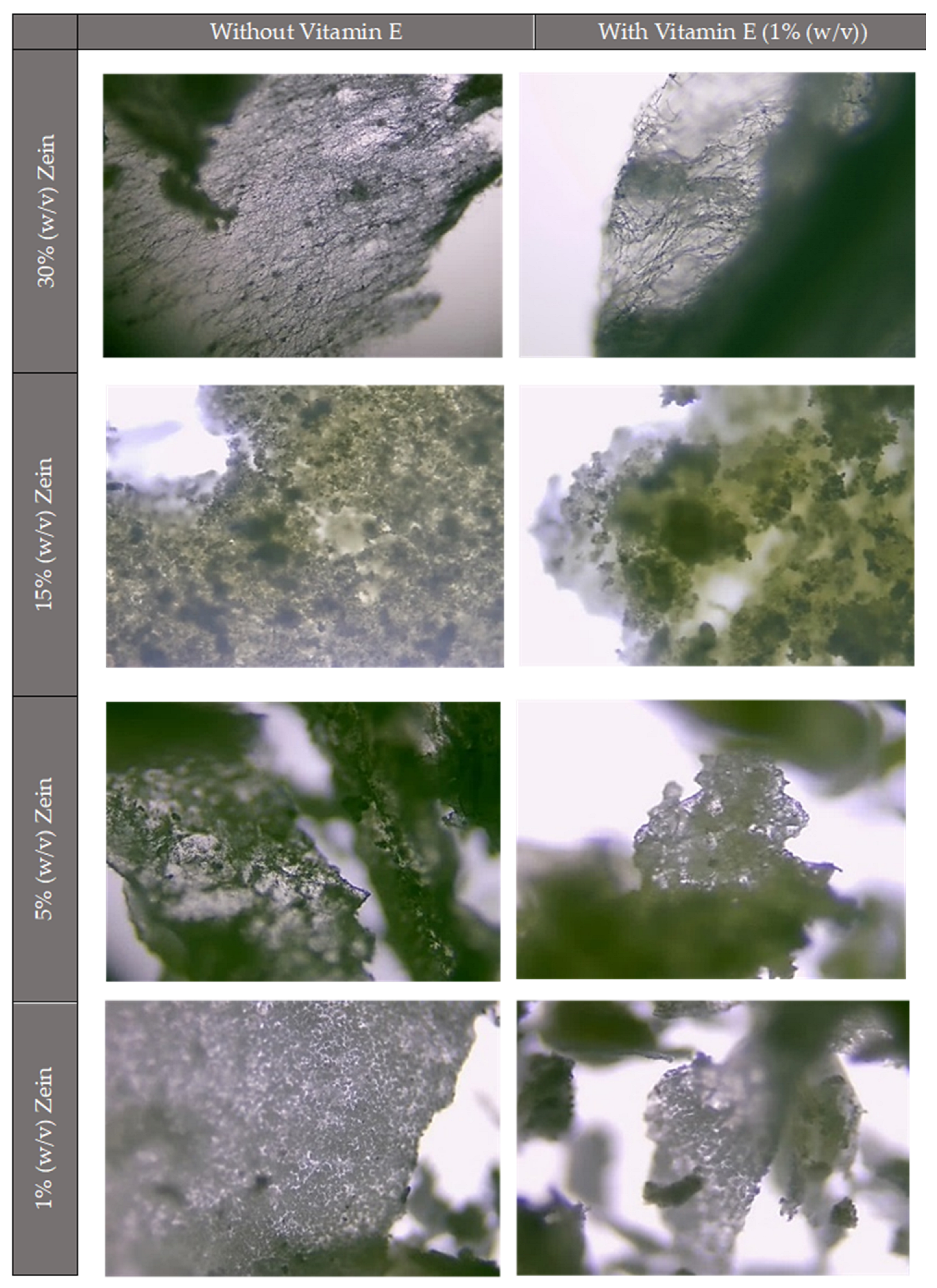 Molecules 30 02306 g002