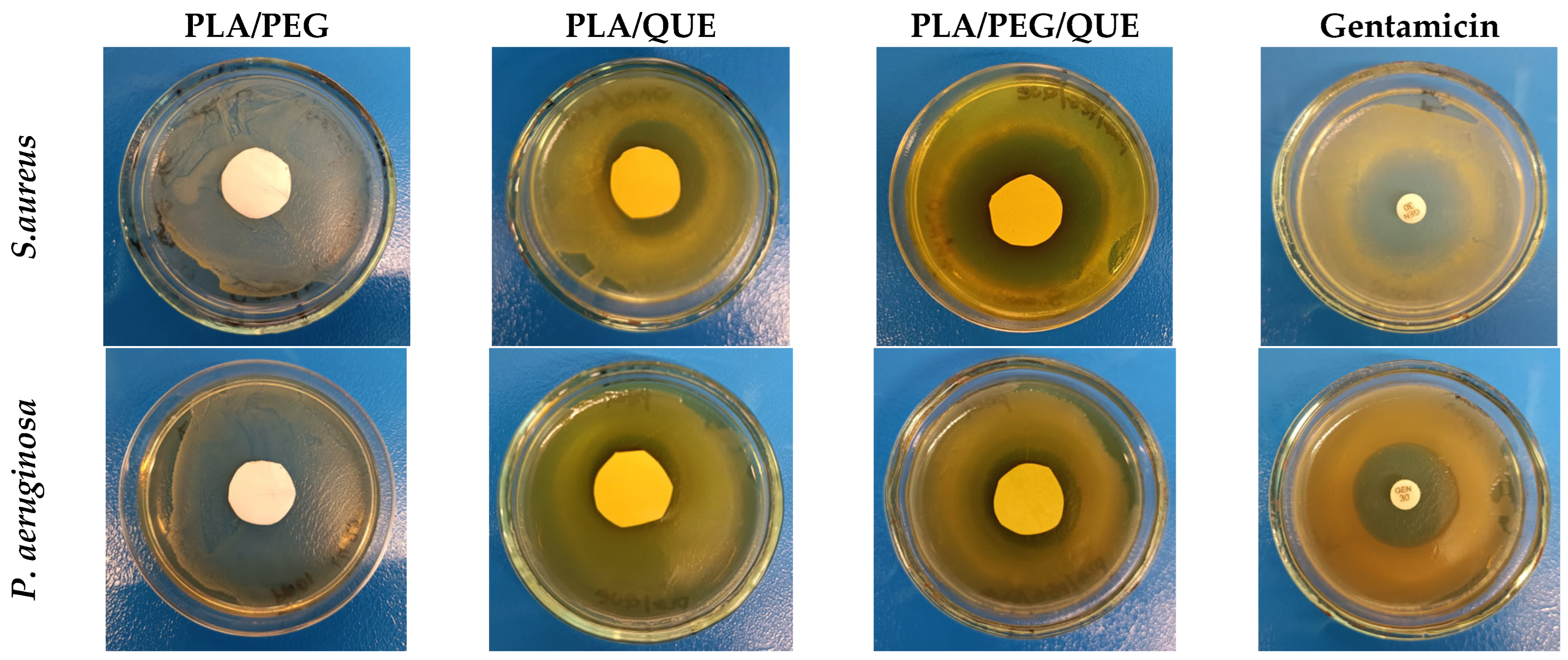 Molecules 30 02307 g004