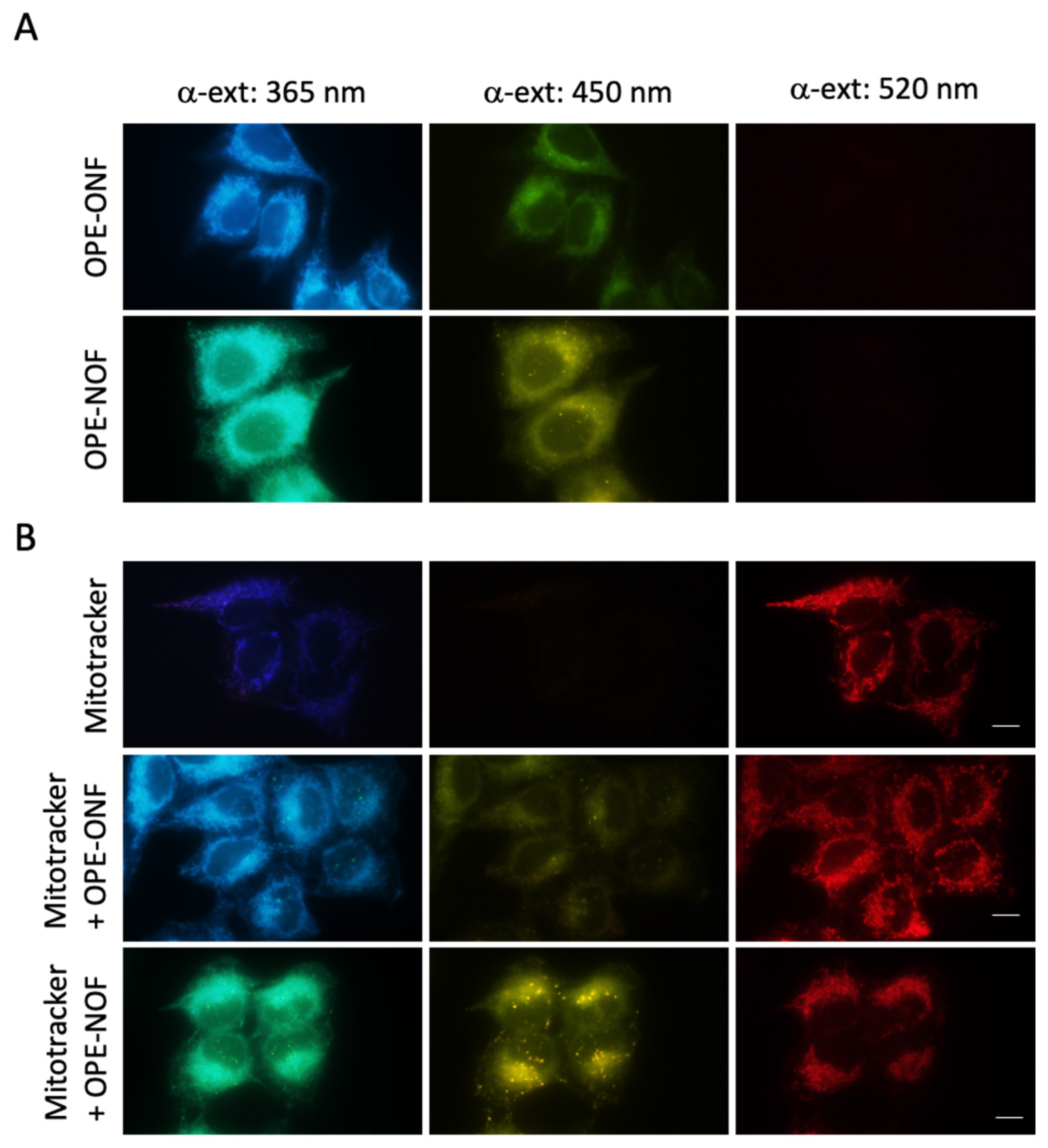 Molecules 30 02310 g002