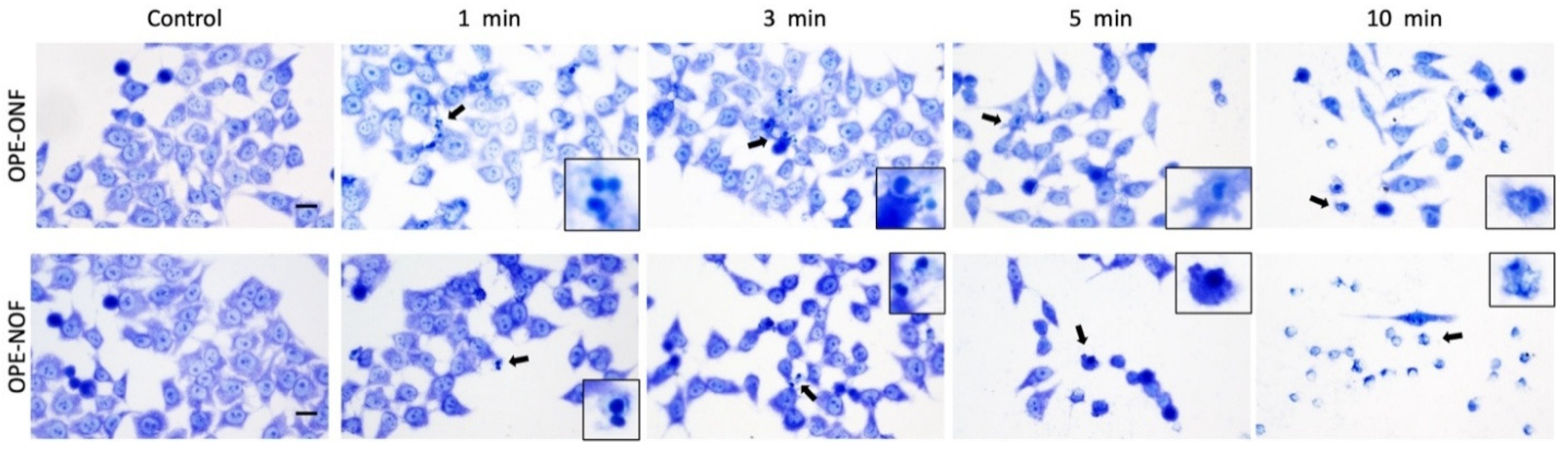 Molecules 30 02310 g004