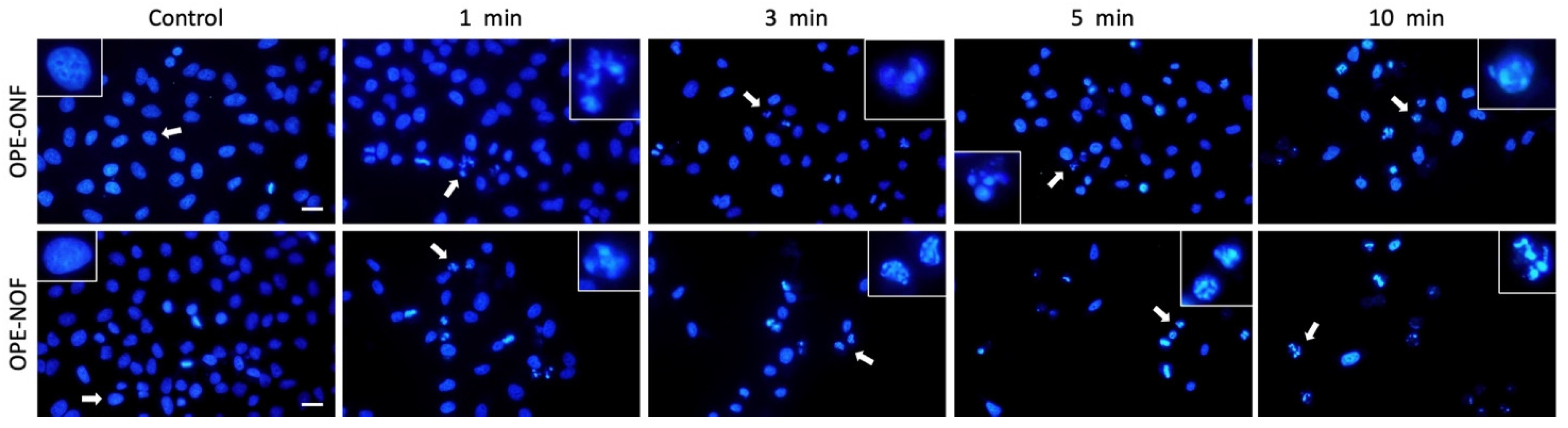 Molecules 30 02310 g005