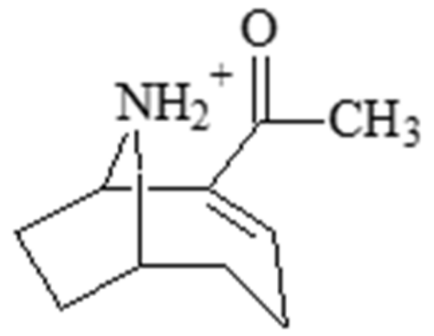 Molecules 30 02320 g001
