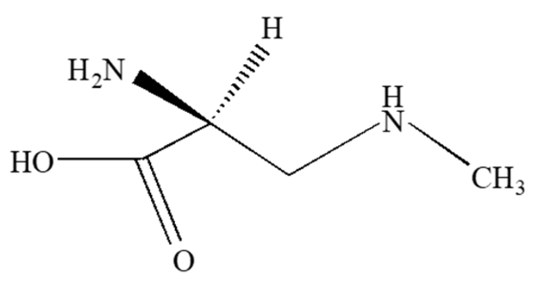Molecules 30 02320 g004