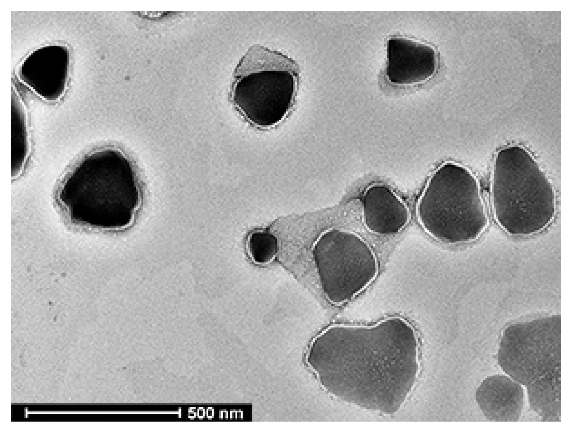 Molecules 30 02321 g005