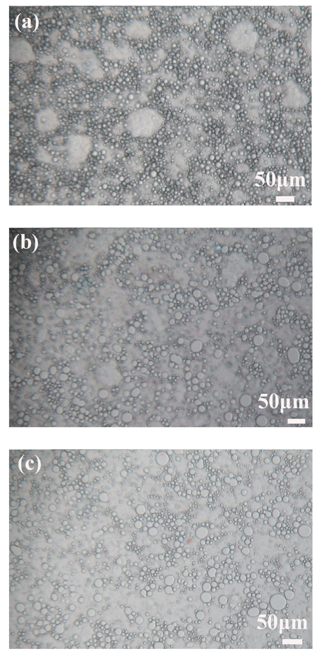 Molecules 30 02321 g010
