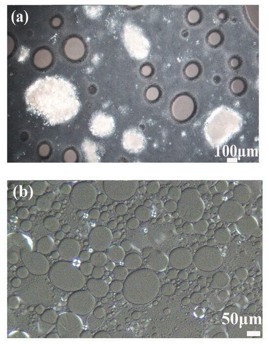 Polyoxyethylene Group-Dependent Surface Properties and