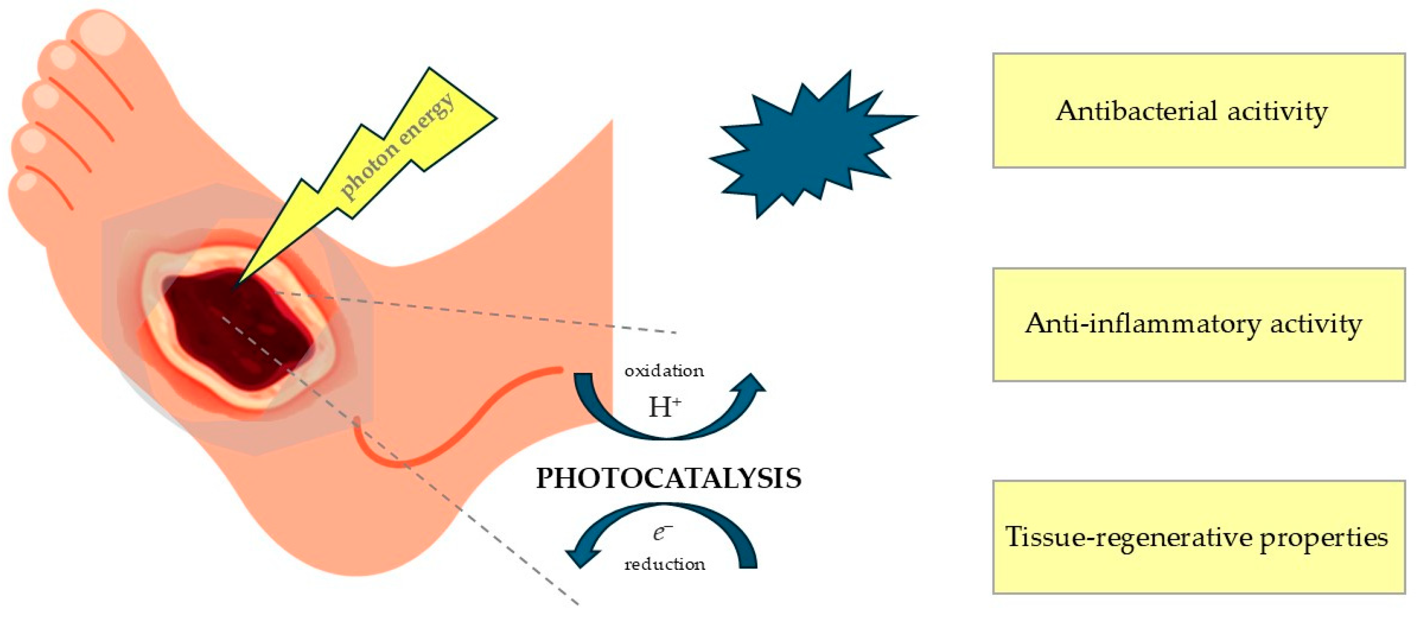 Molecules 30 02323 g002