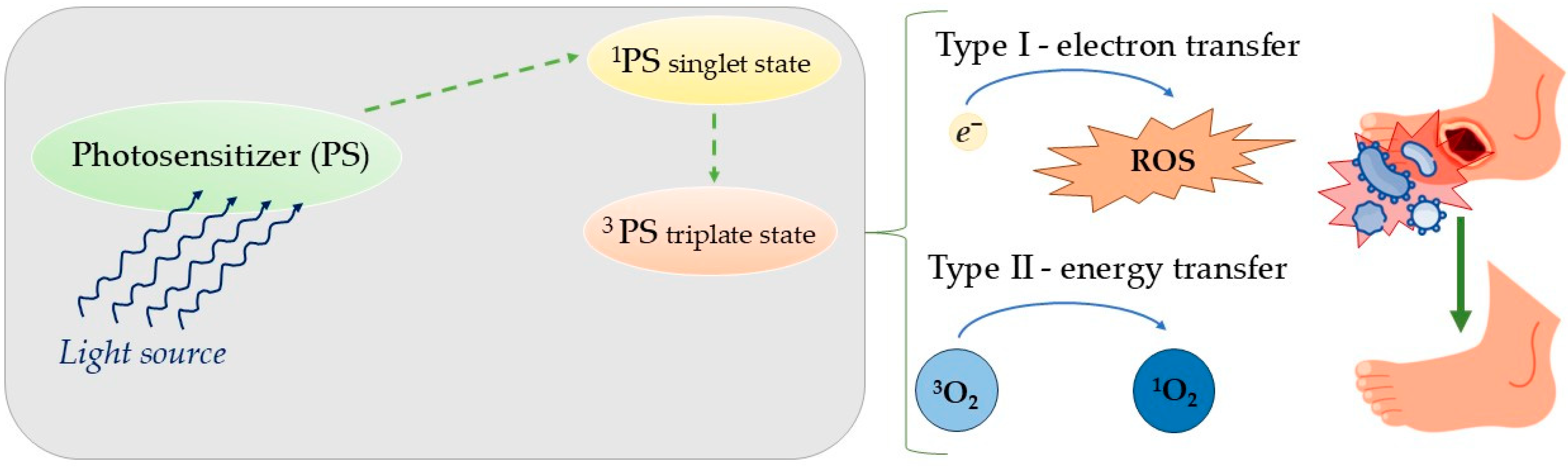 Molecules 30 02323 g004