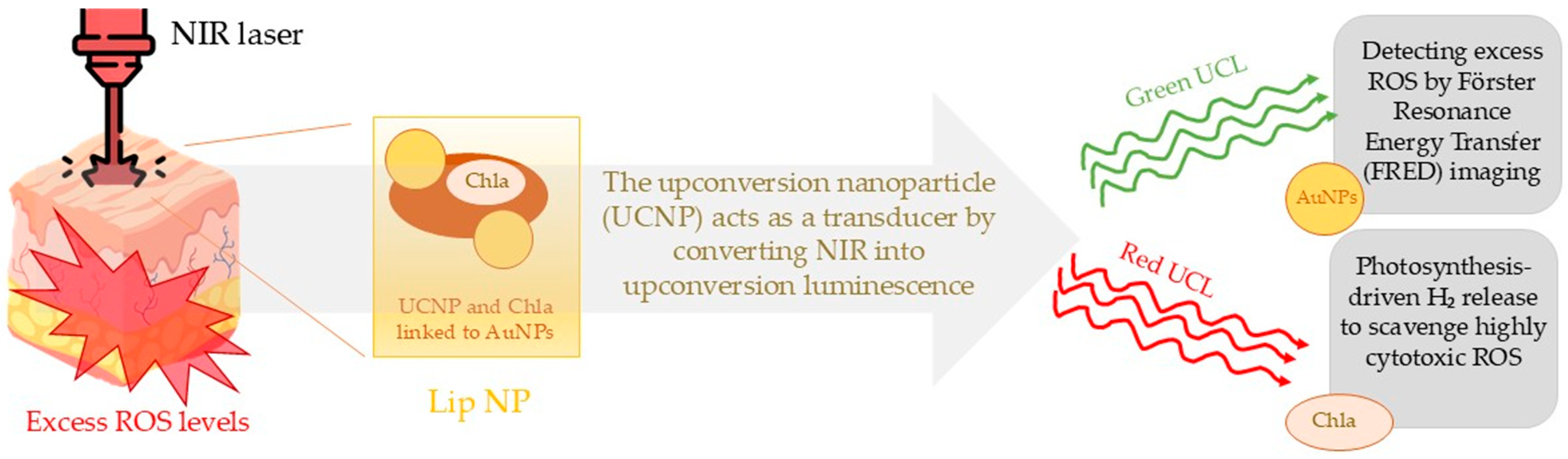 Molecules 30 02323 g005