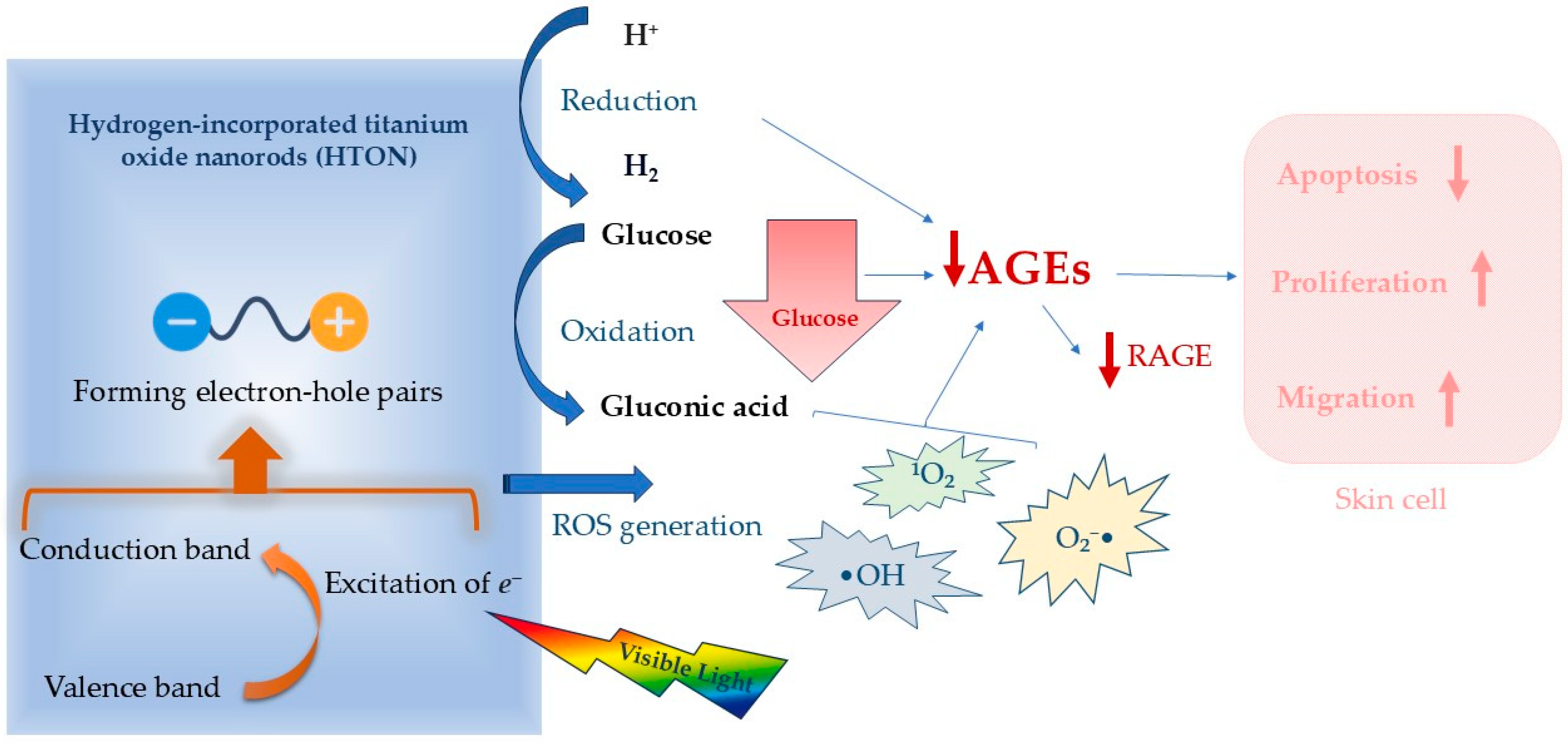 Molecules 30 02323 g006