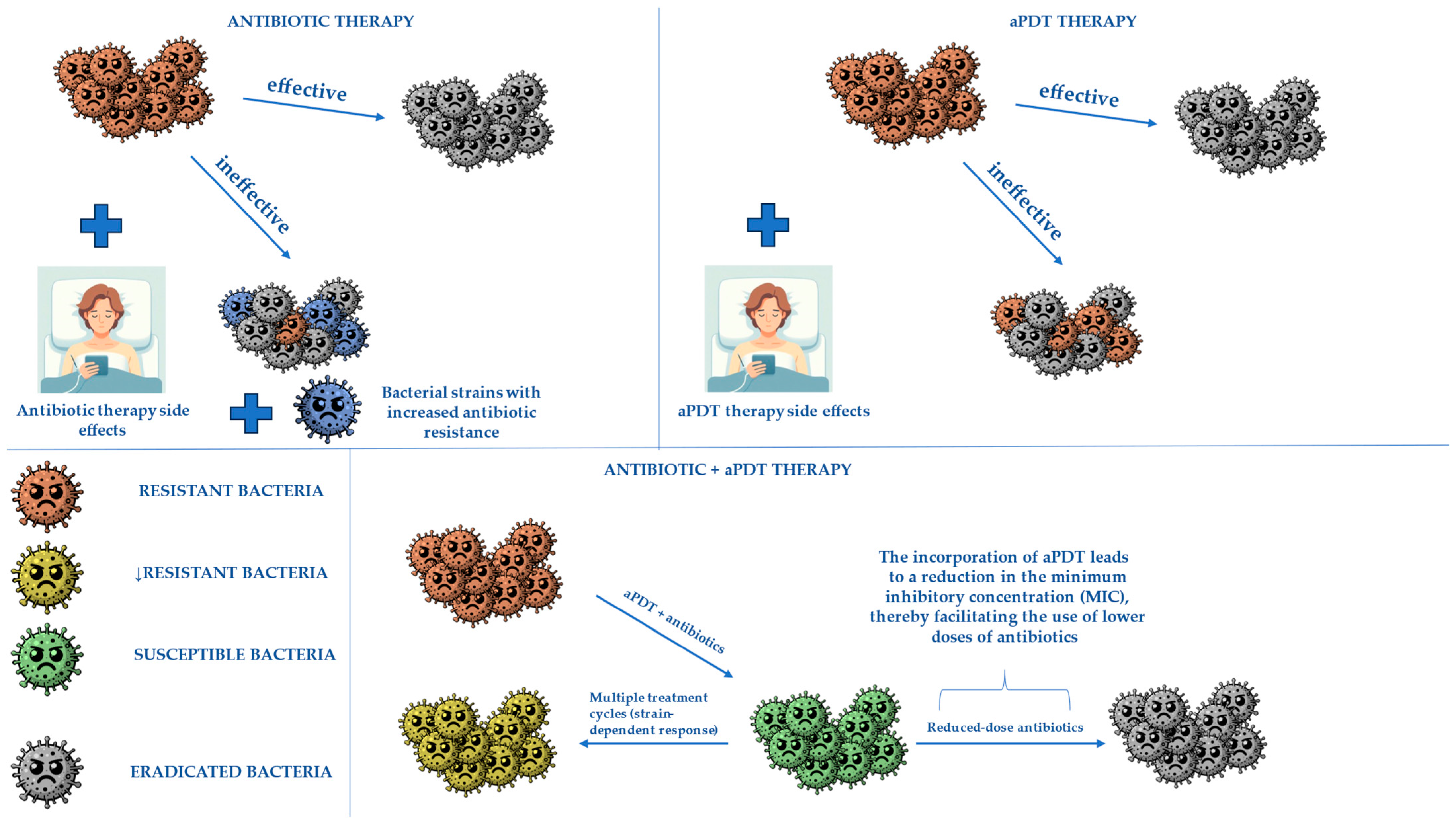 Molecules 30 02323 g007