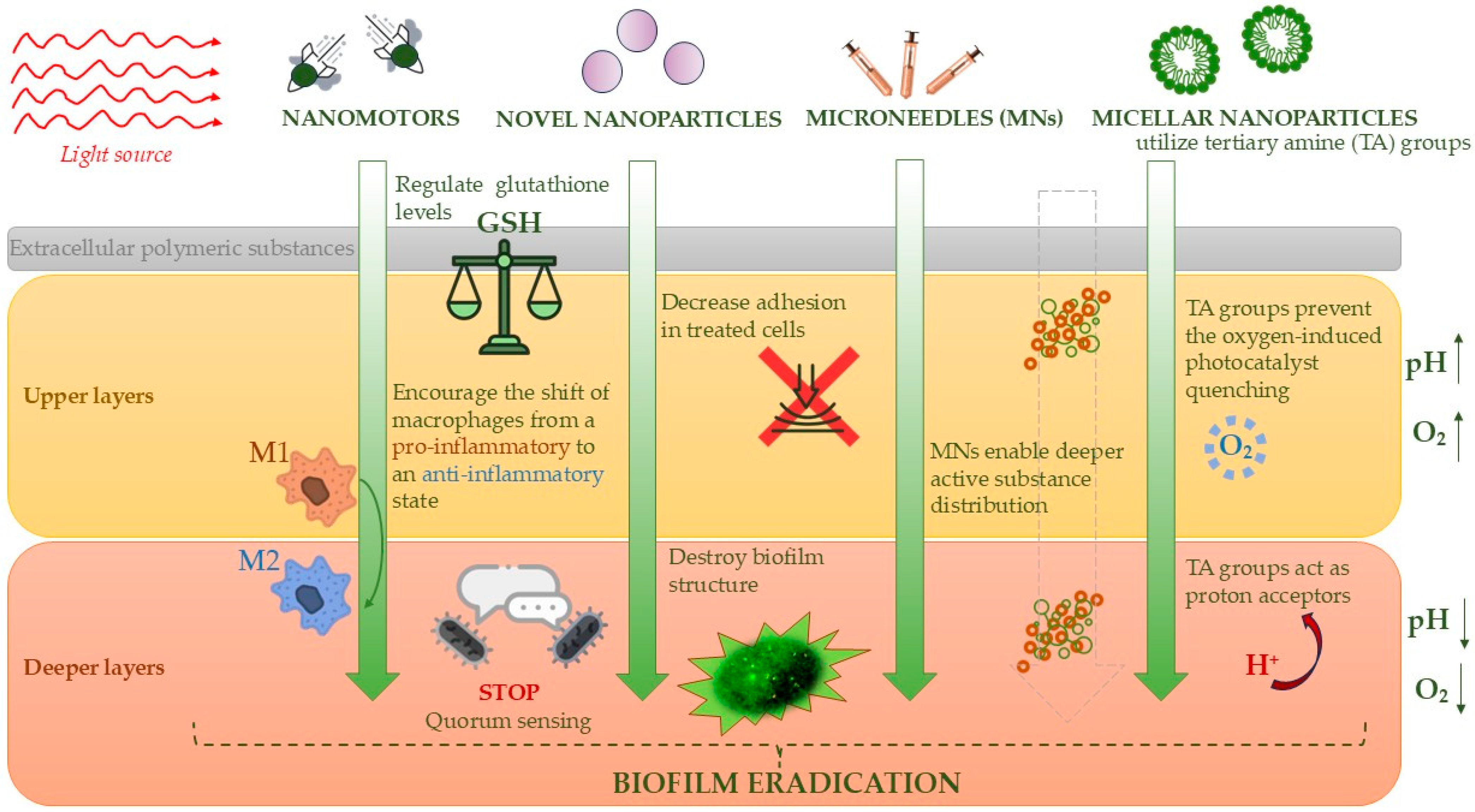 Molecules 30 02323 g008