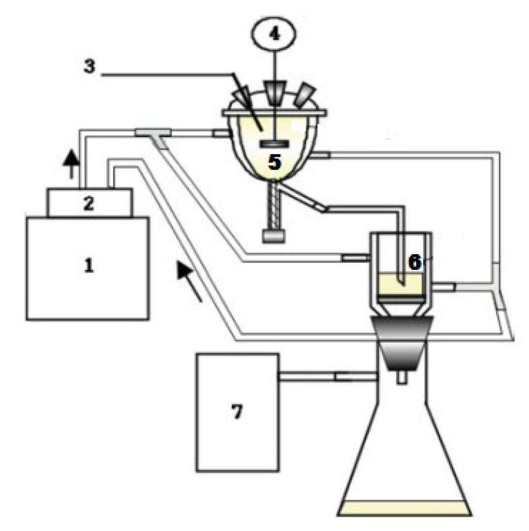 Molecules 30 02327 g001 Molecules 30 02327 g001