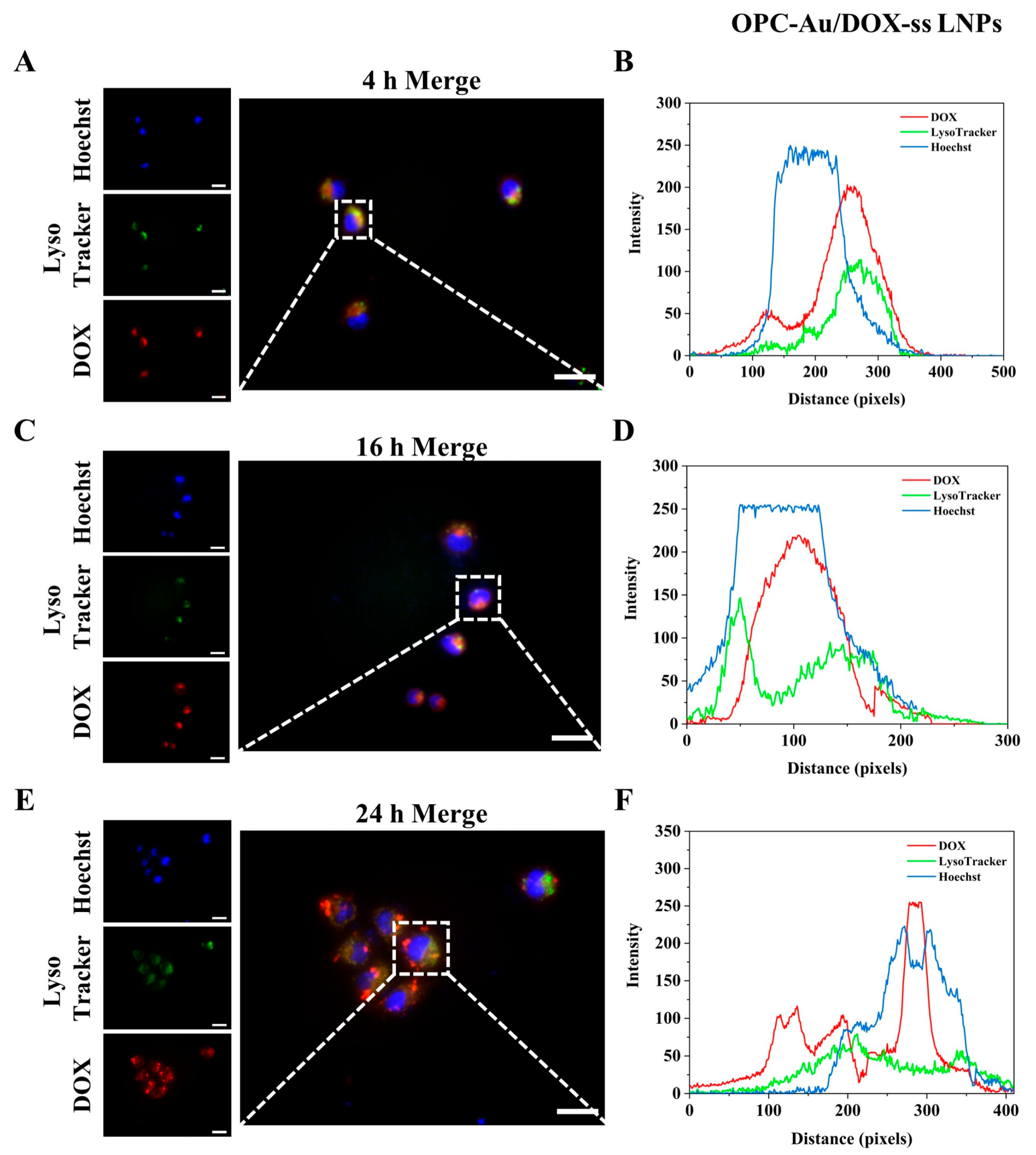 Molecules 30 02334 g006
