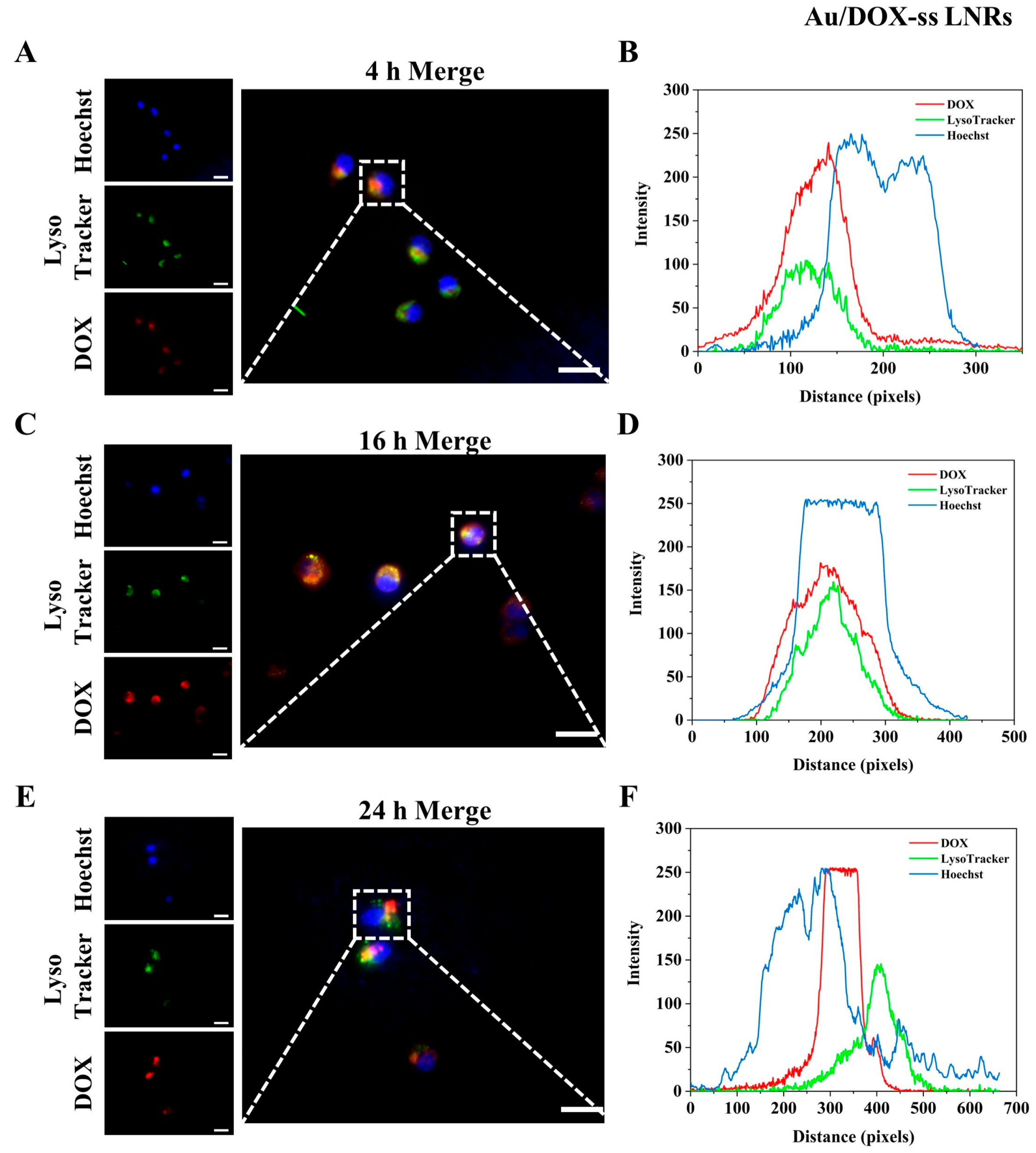 Molecules 30 02334 g007