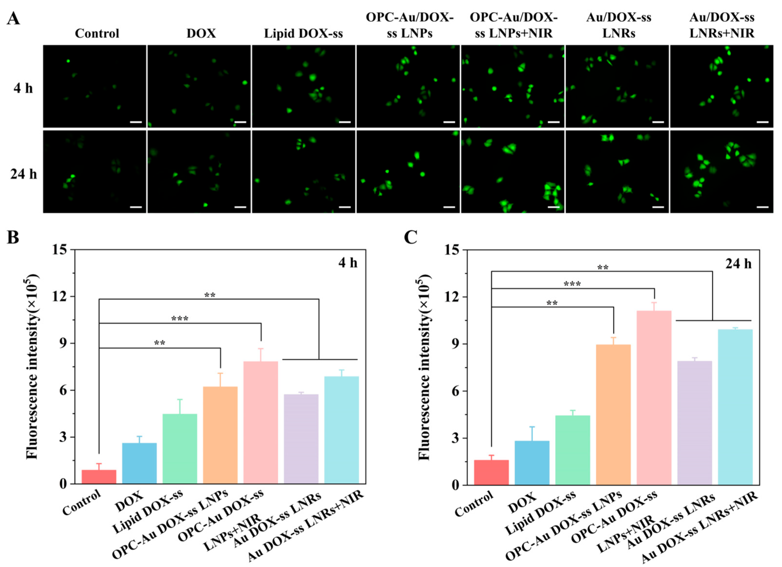 Molecules 30 02334 g008