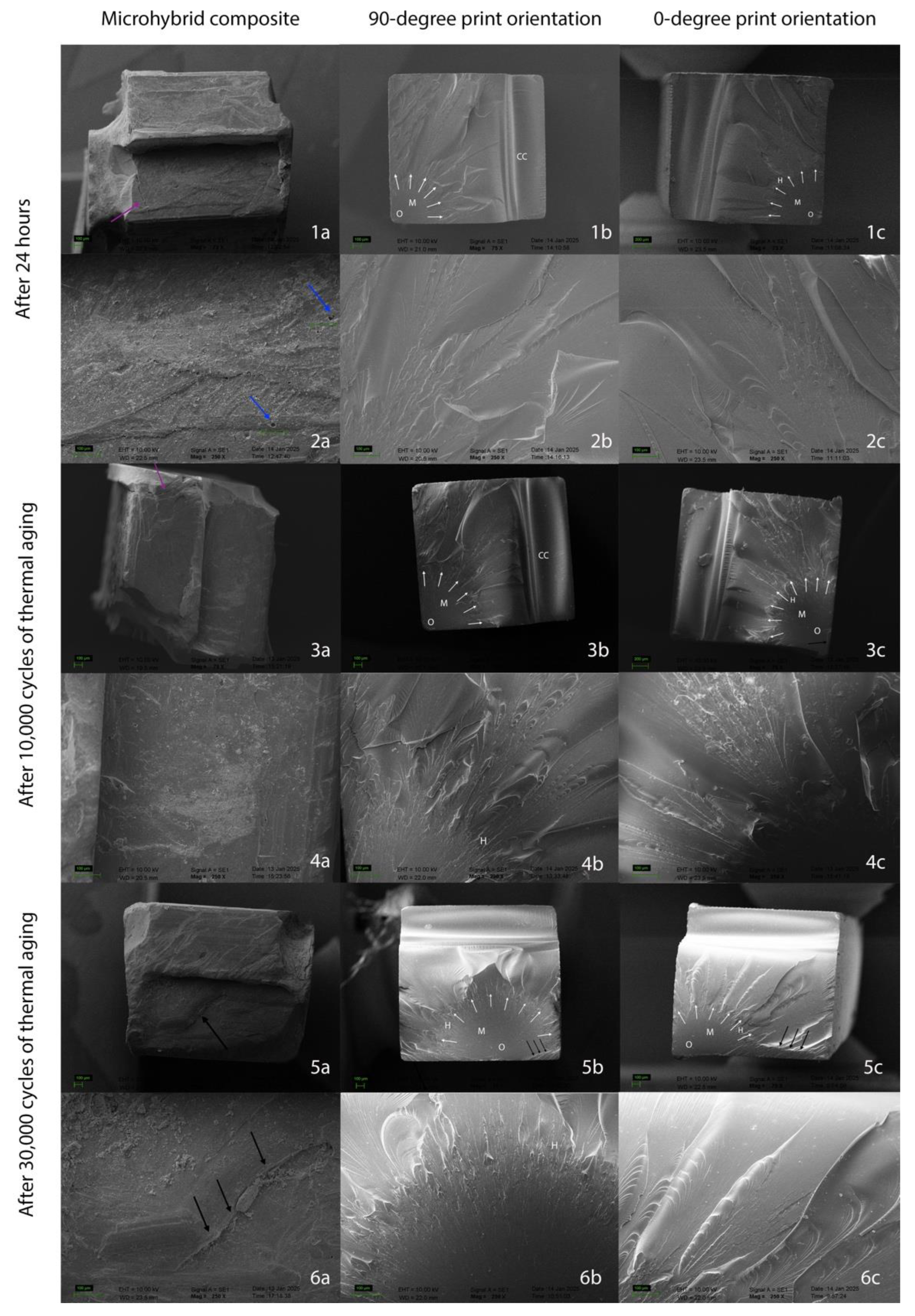 Molecules 30 02337 g003