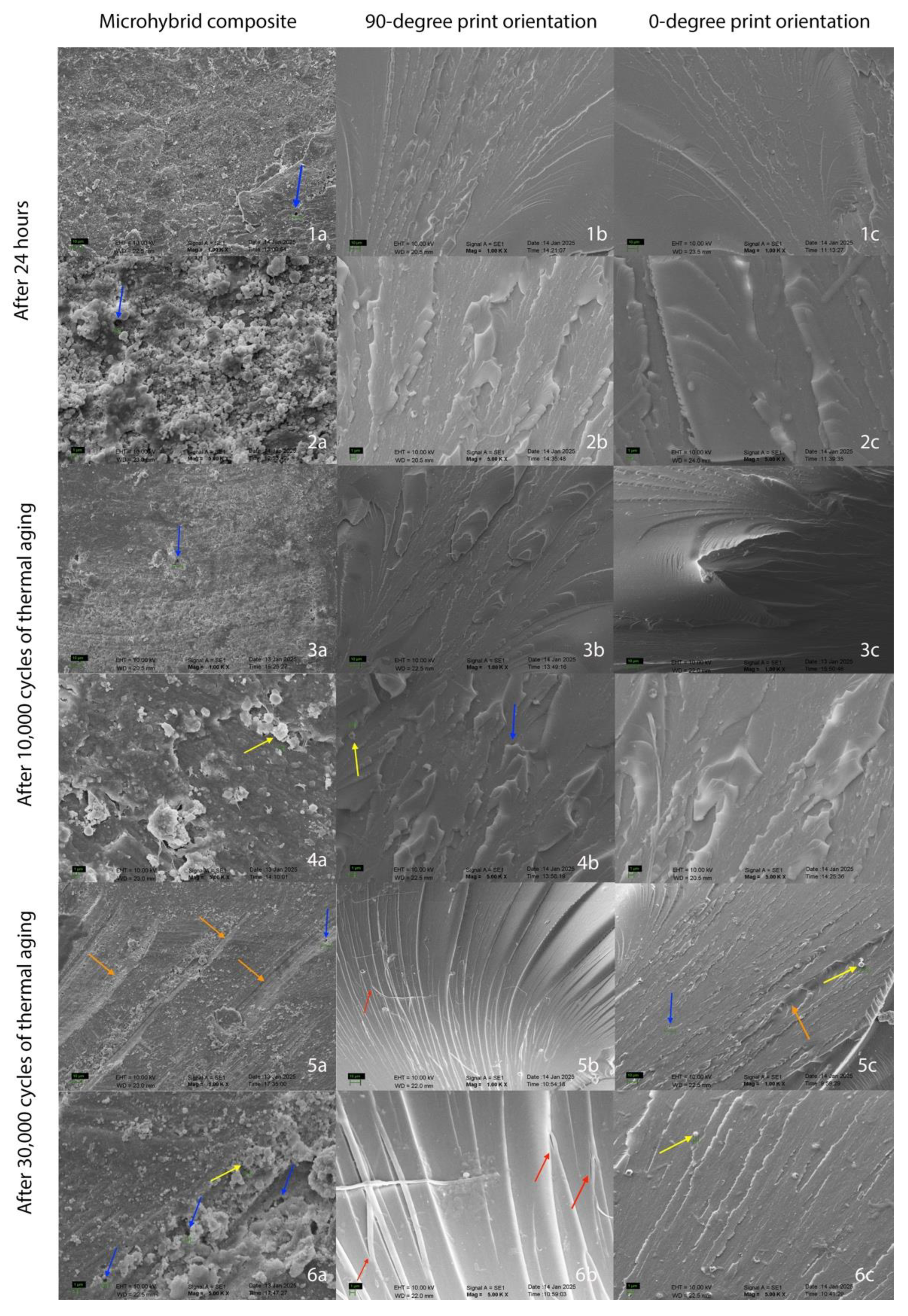 Molecules 30 02337 g004