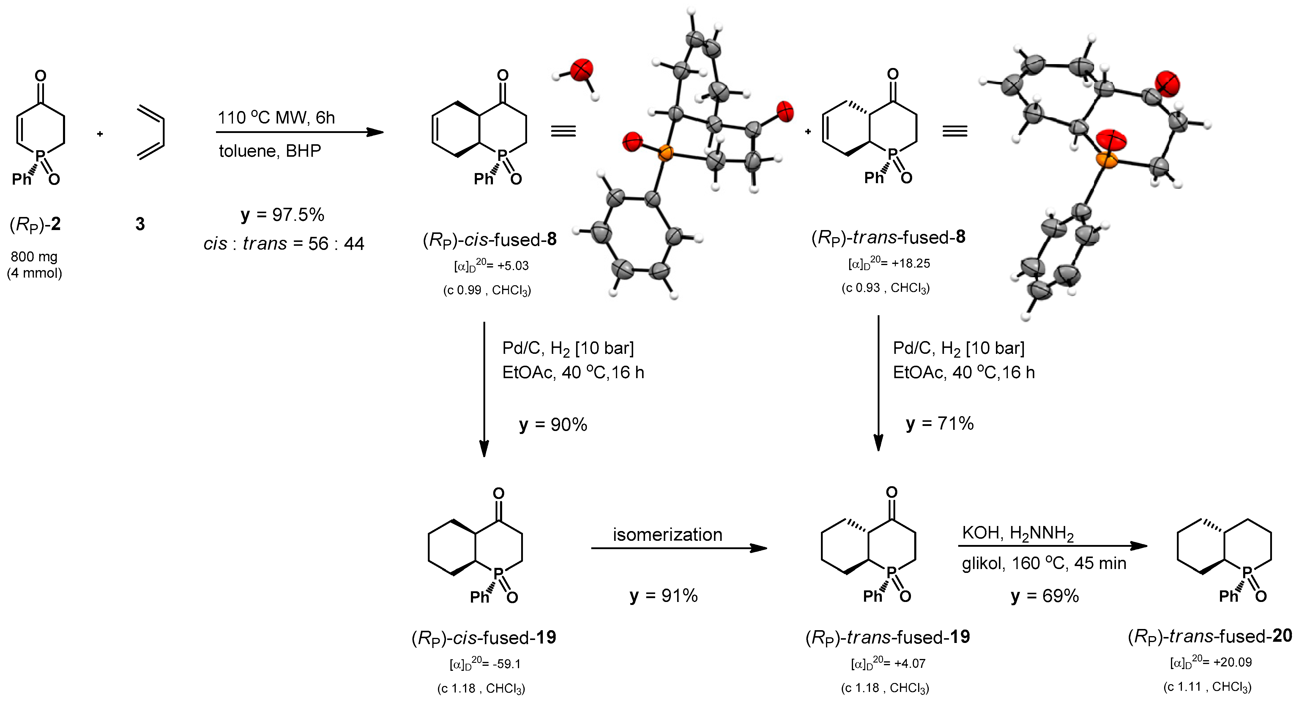 Molecules 30 02338 g008
