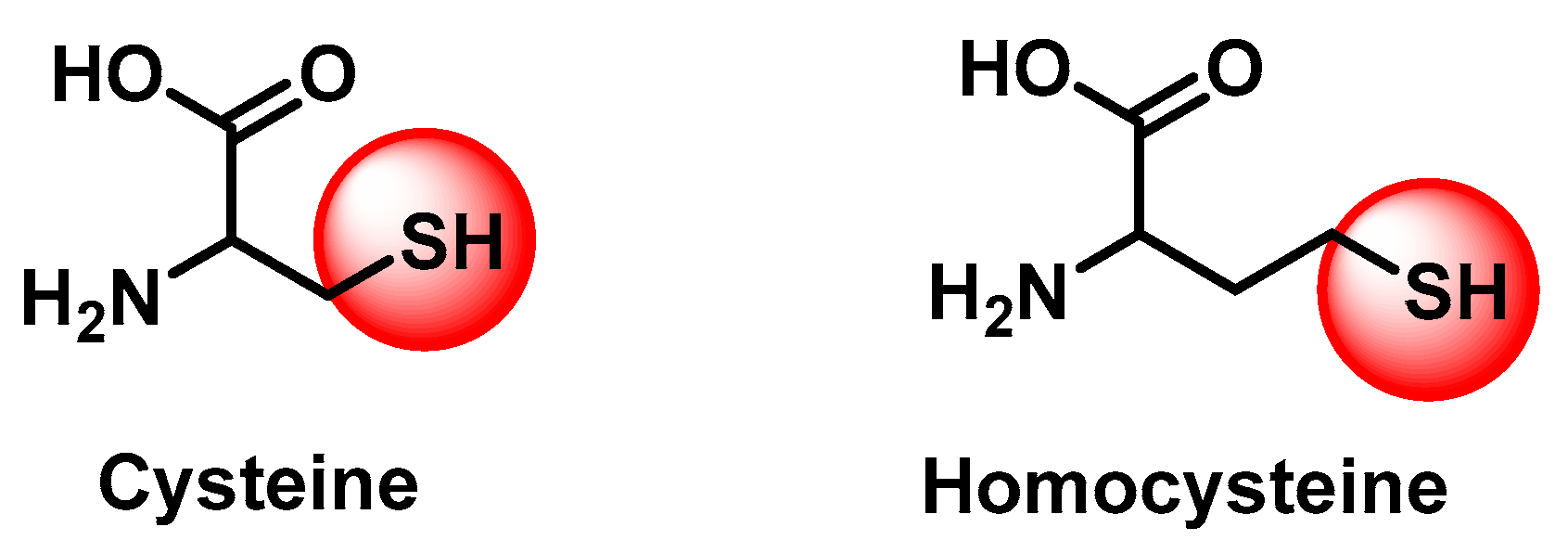 Molecules 30 02340 g002