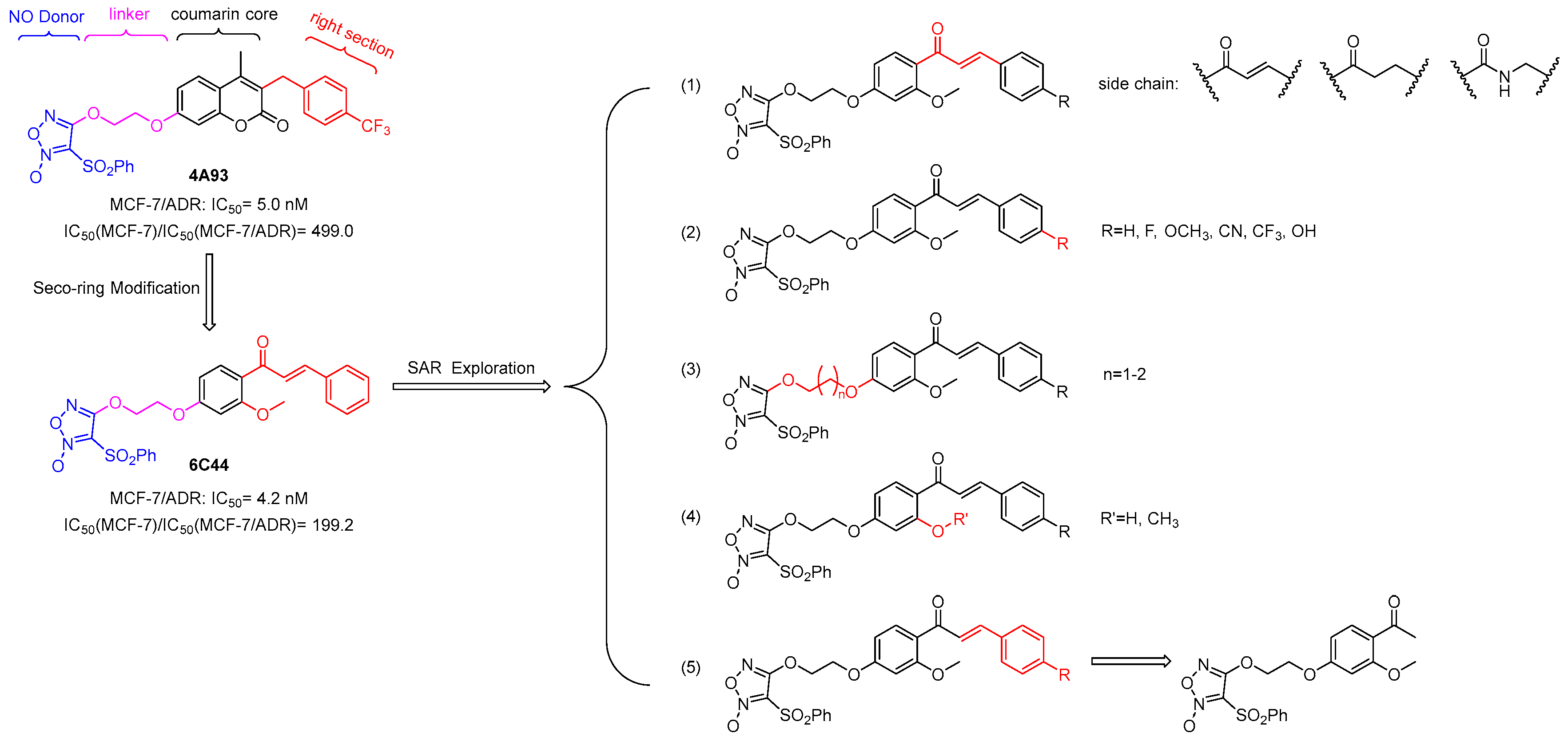 Molecules 30 02341 g002