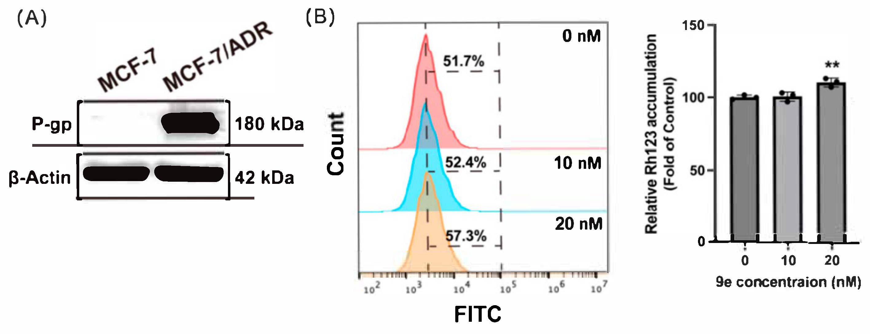 Molecules 30 02341 g004