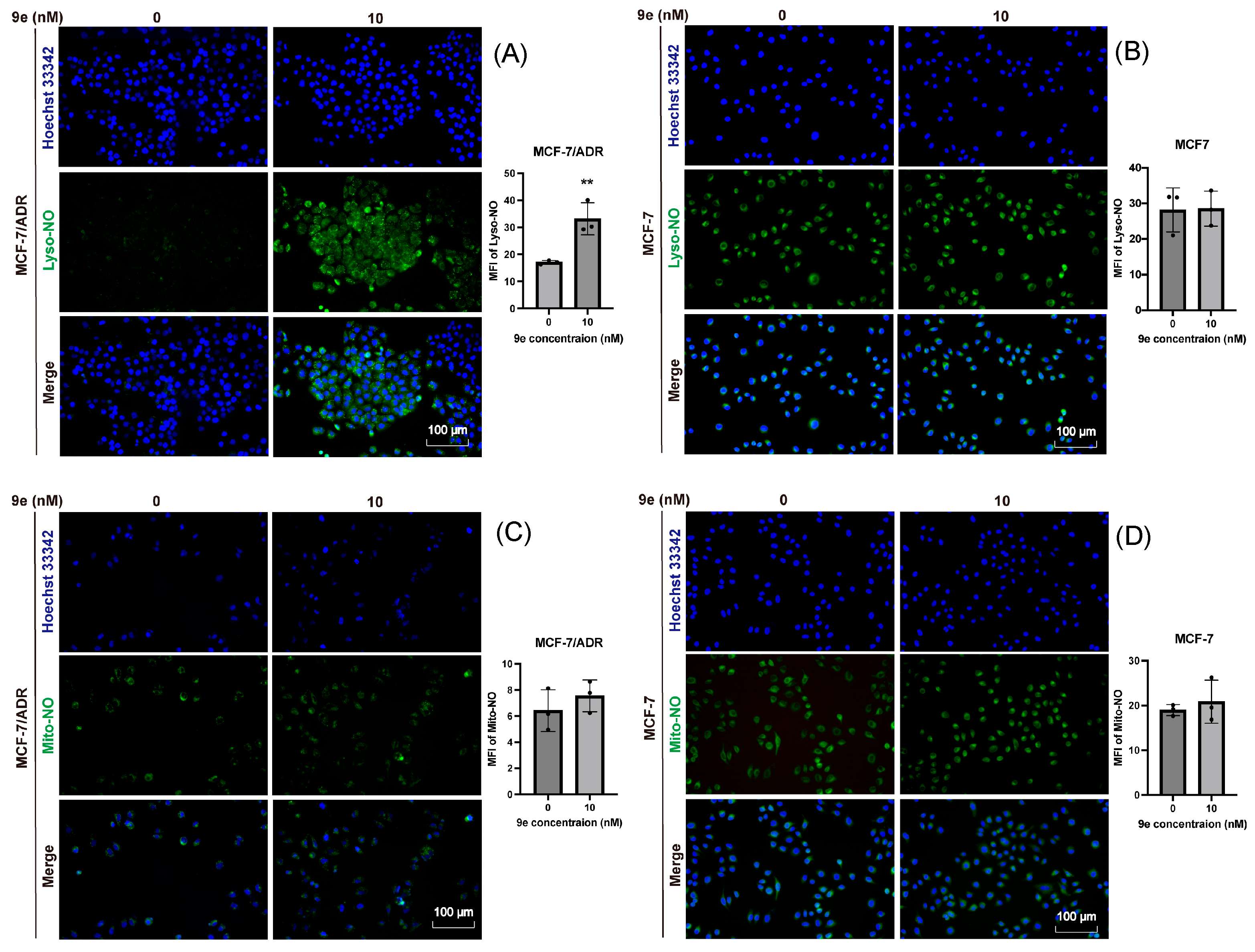 Molecules 30 02341 g005